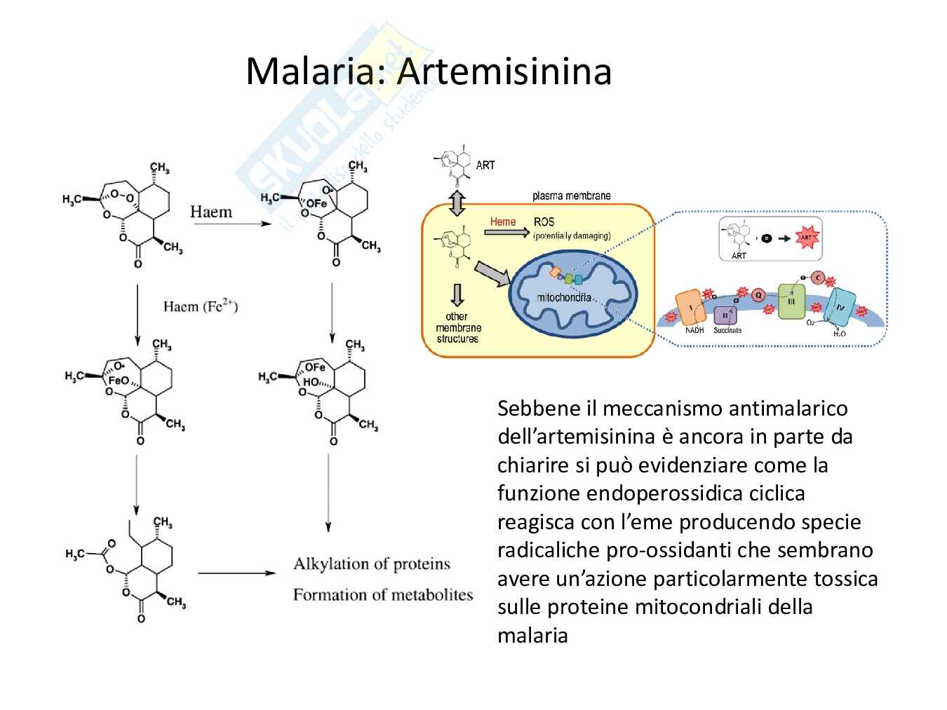Antiparassitari Pag. 31