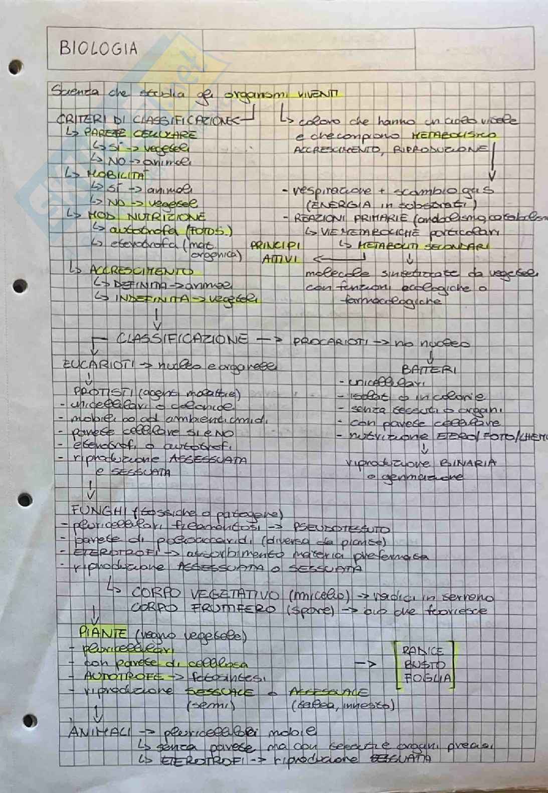 Appunti su esame di Botanica farmaceutica  Pag. 1