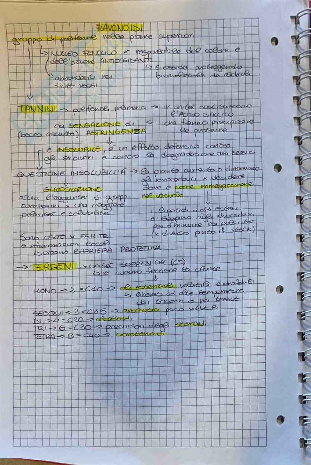 Appunti su esame di Botanica farmaceutica  Pag. 16