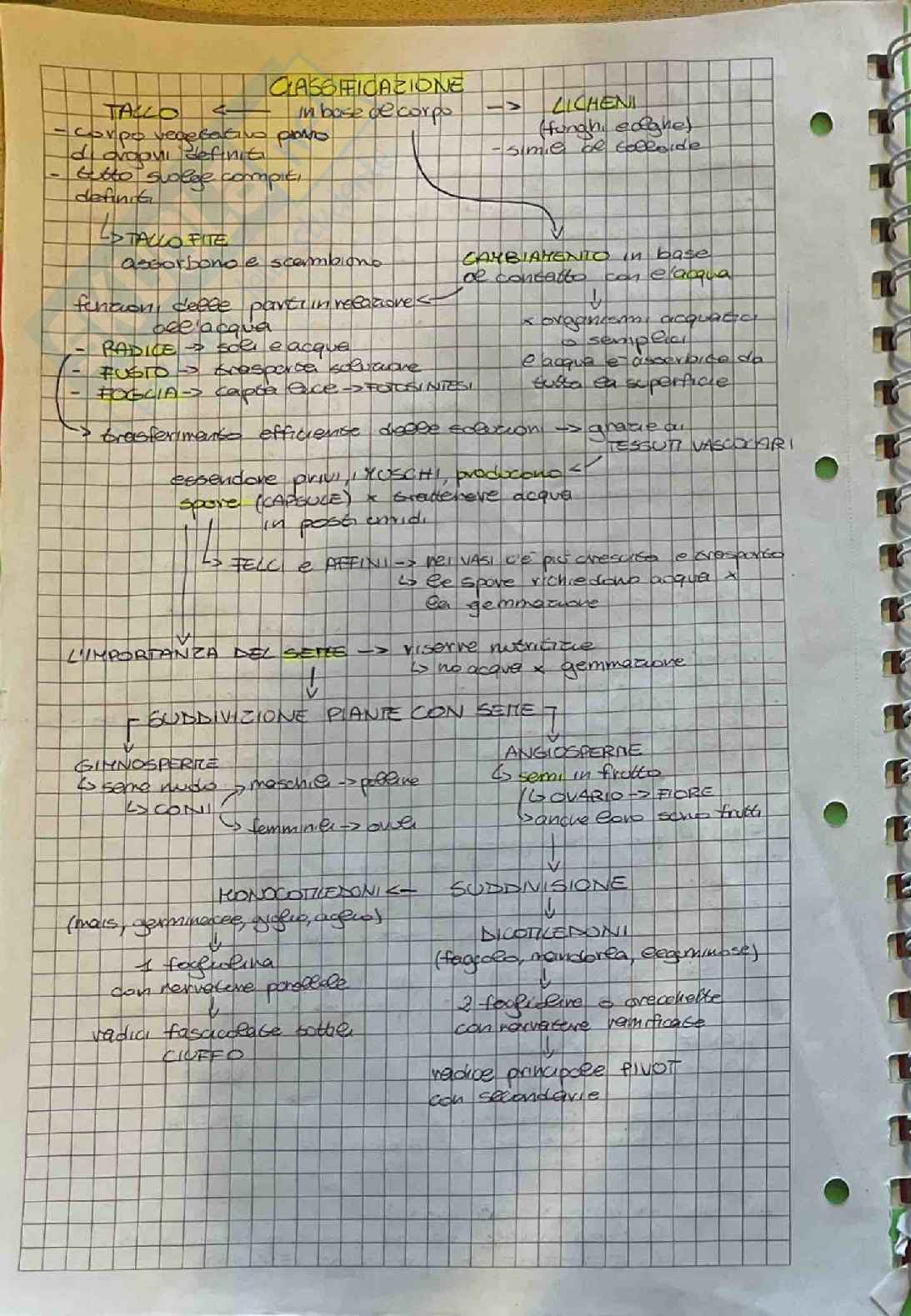 Appunti su esame di Botanica farmaceutica  Pag. 2
