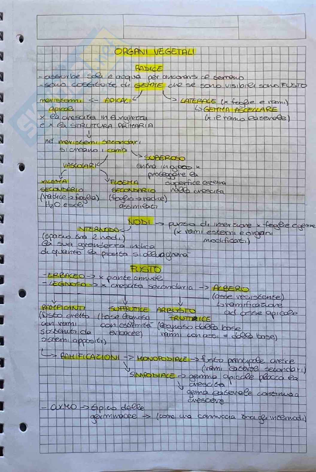 Appunti su esame di Botanica farmaceutica  Pag. 21