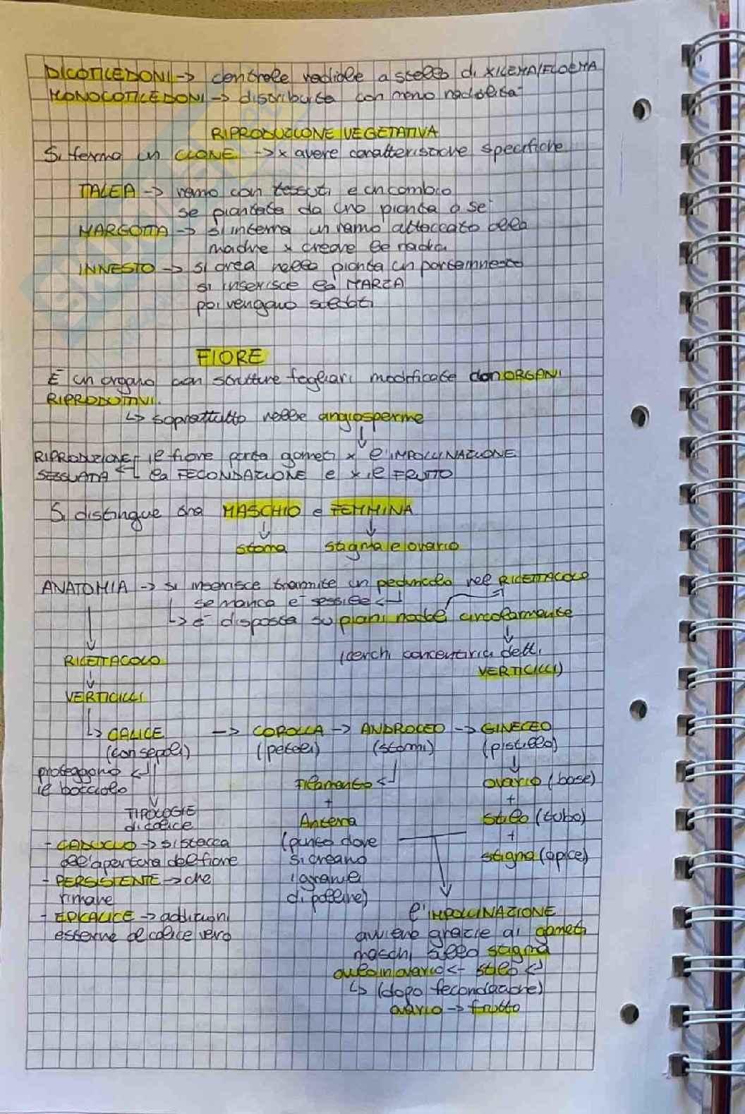 Appunti su esame di Botanica farmaceutica  Pag. 26