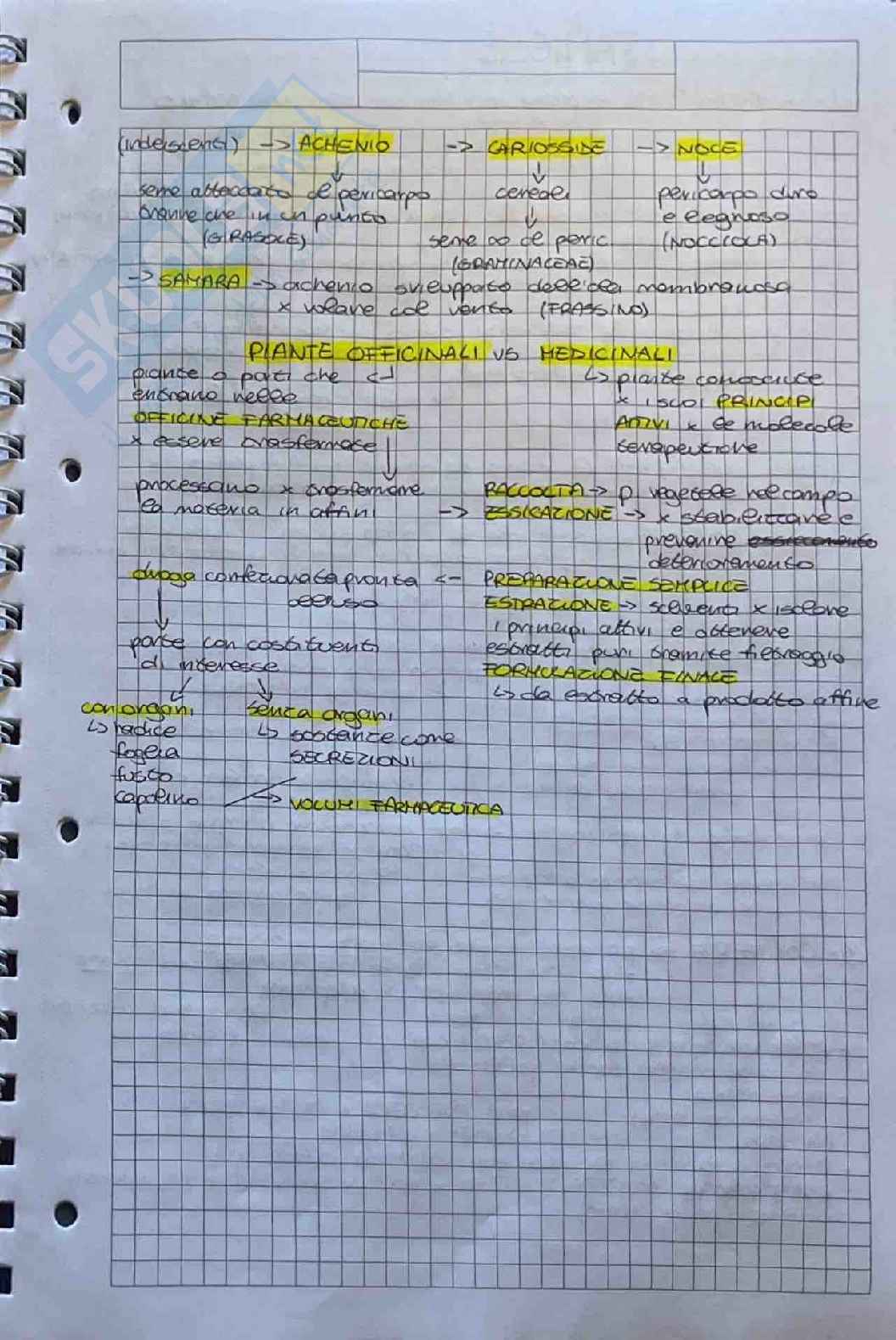 Appunti su esame di Botanica farmaceutica  Pag. 31