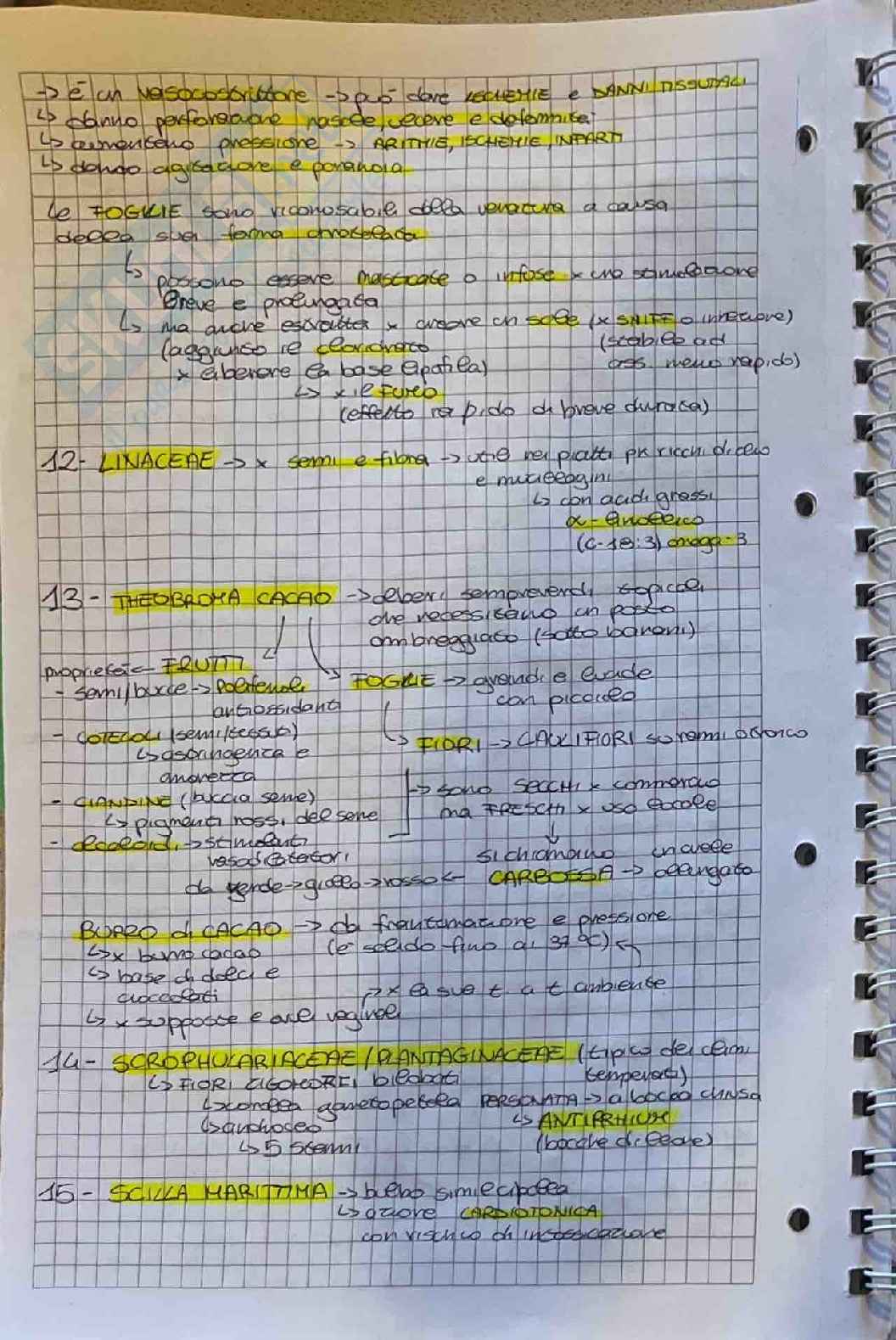 Appunti su esame di Botanica farmaceutica  Pag. 36