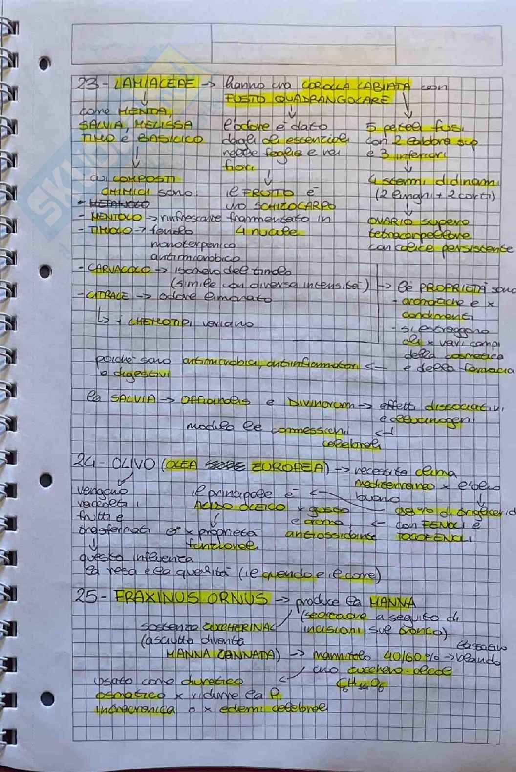 Appunti su esame di Botanica farmaceutica  Pag. 41