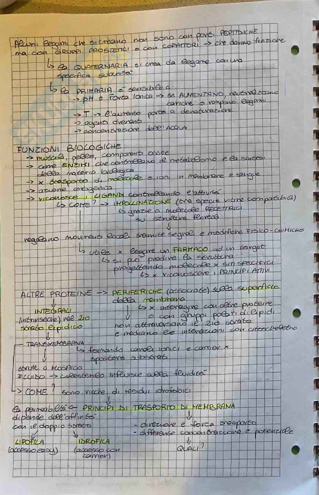 Appunti su esame di Botanica farmaceutica  Pag. 6