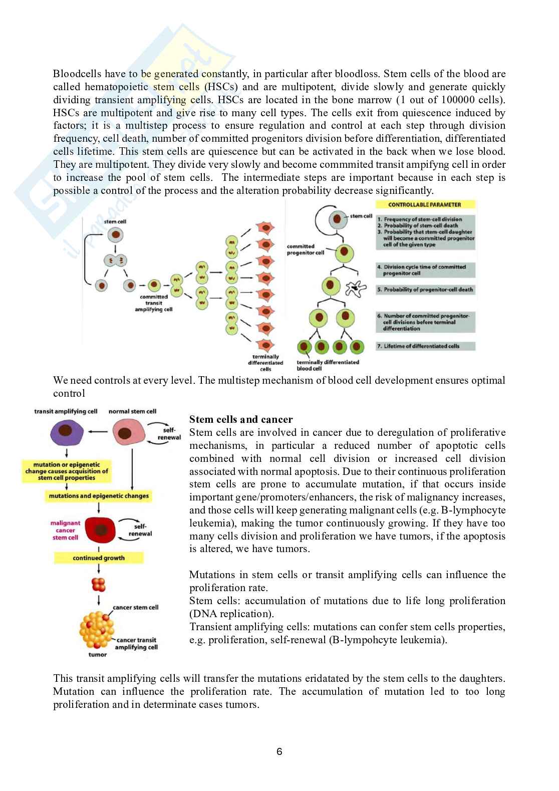 Biologia dello sviluppo Pag. 6