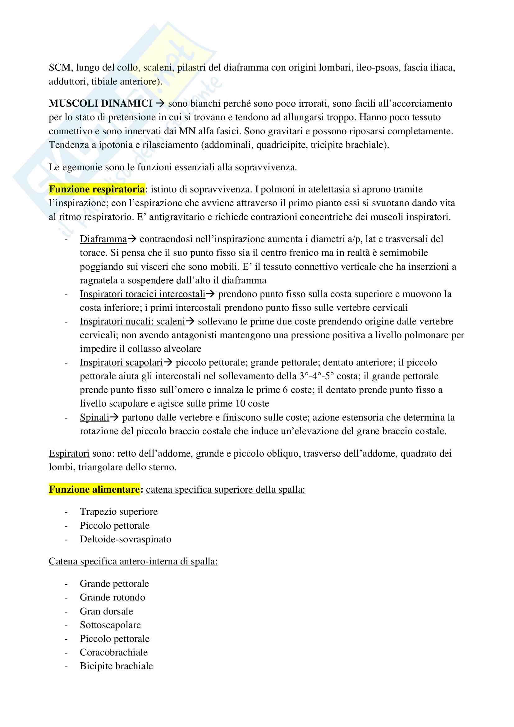 Postura e locomozione Pag. 2