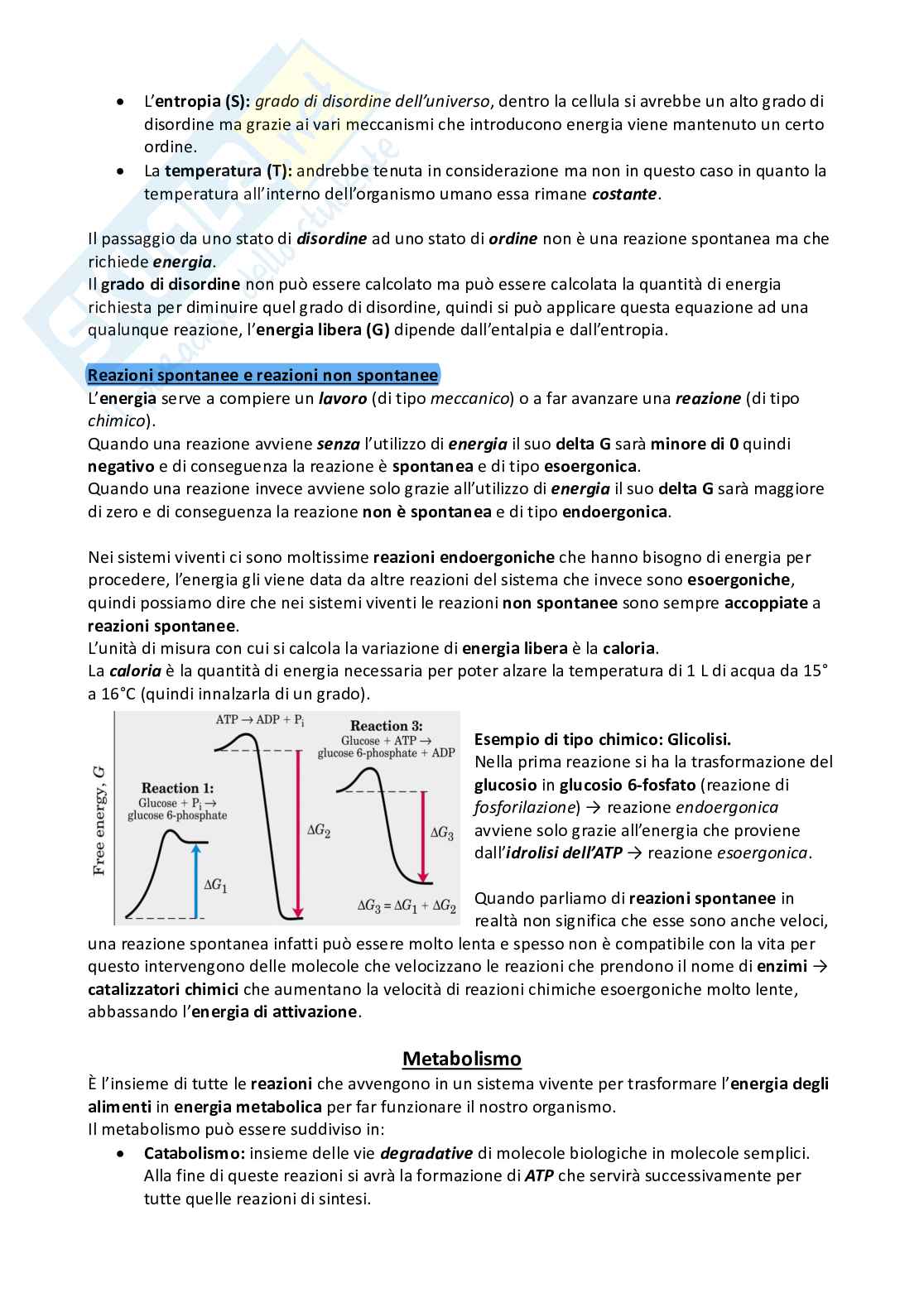 Biochimica - Infermieristica Pag. 2