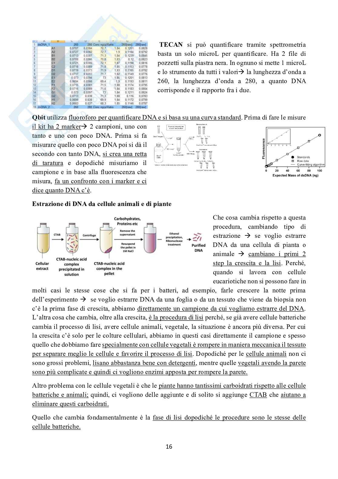 Appunti di Ingegneria genetica  Pag. 16