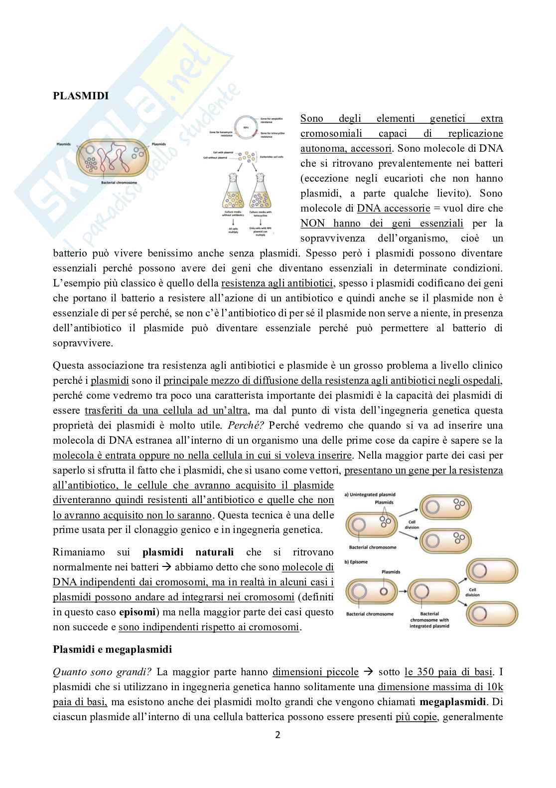 Appunti di Ingegneria genetica  Pag. 2