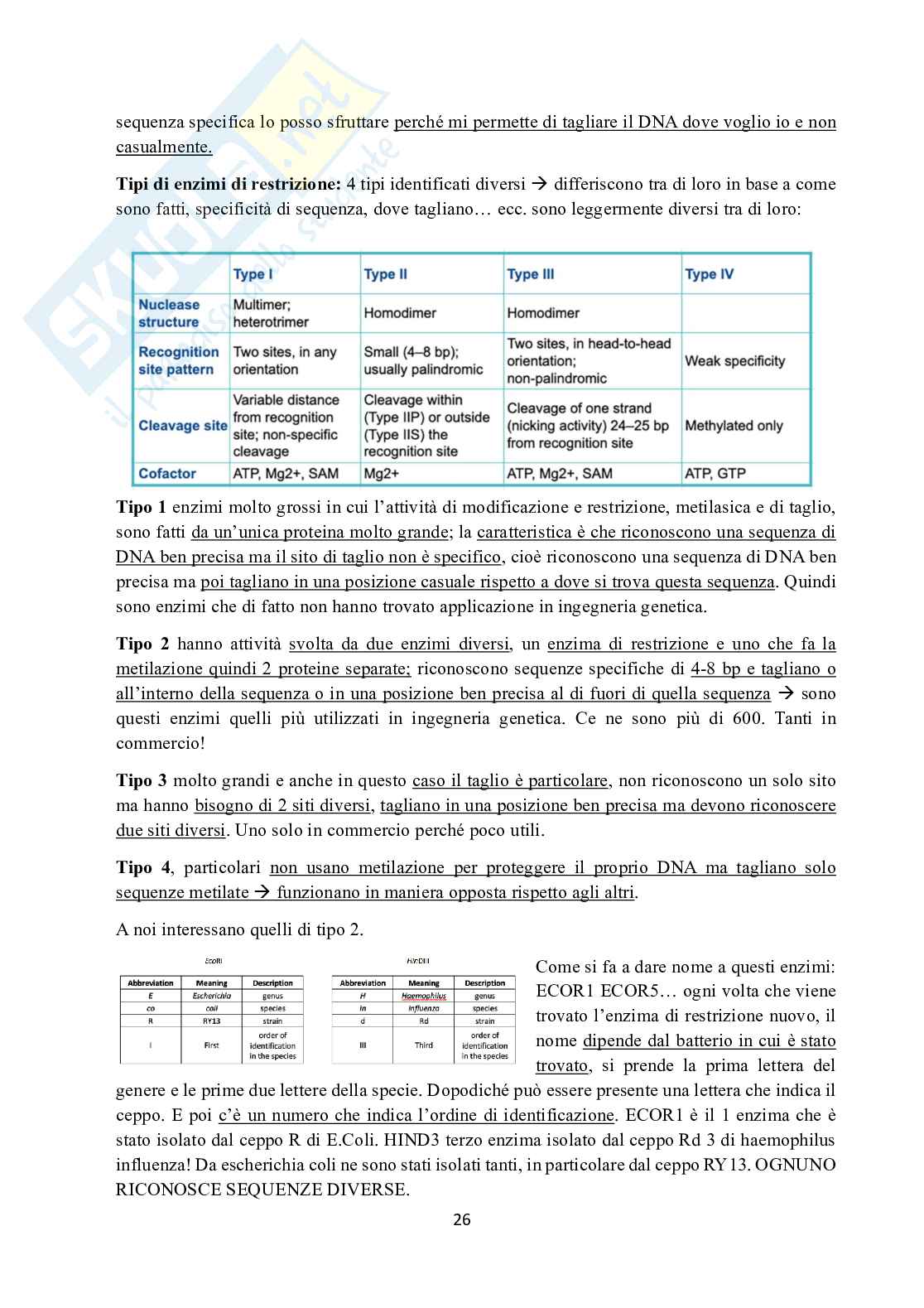 Appunti di Ingegneria genetica  Pag. 26