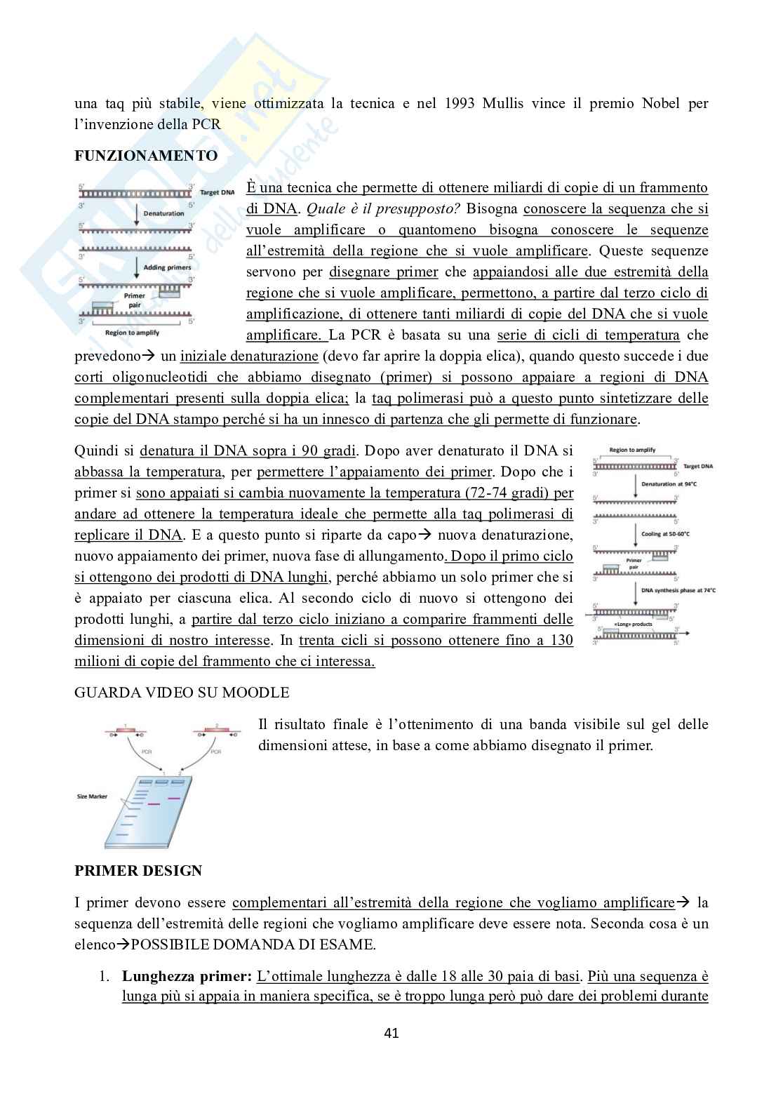 Appunti di Ingegneria genetica  Pag. 41