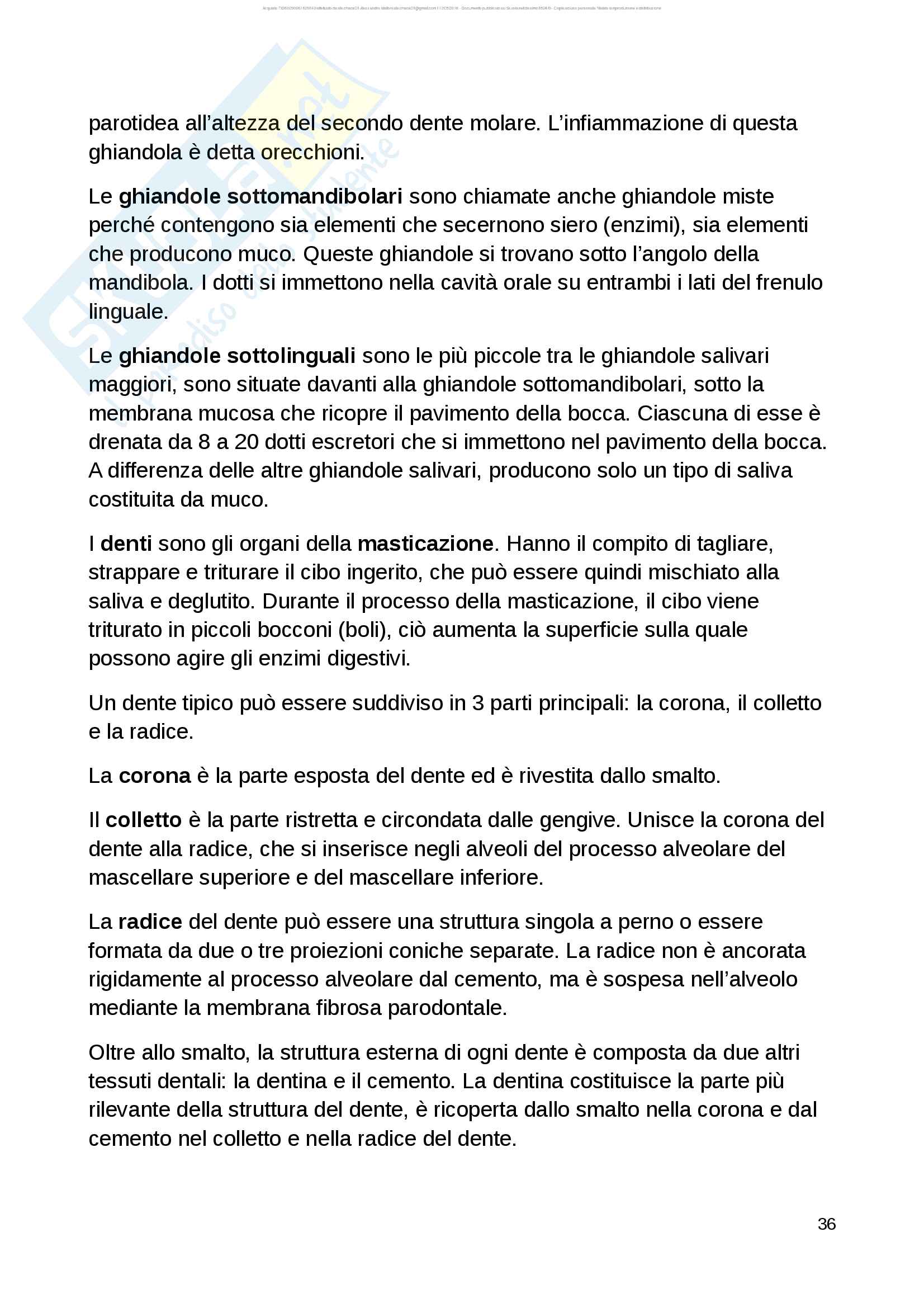 Anatomia Parte 1 di 2 Pag. 36