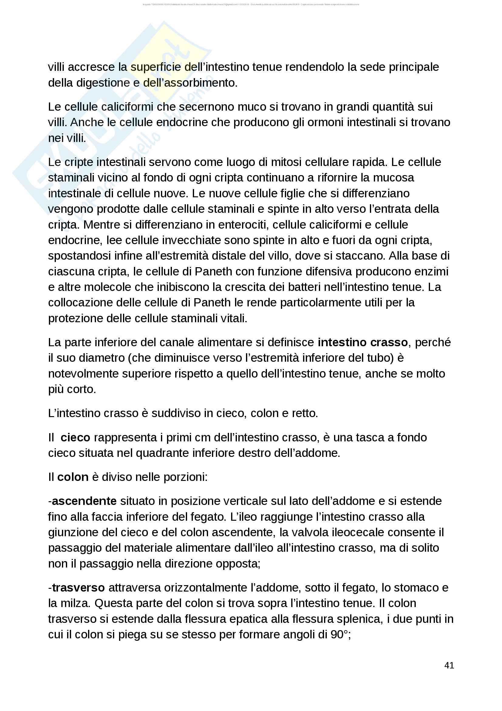 Anatomia Parte 1 di 2 Pag. 41