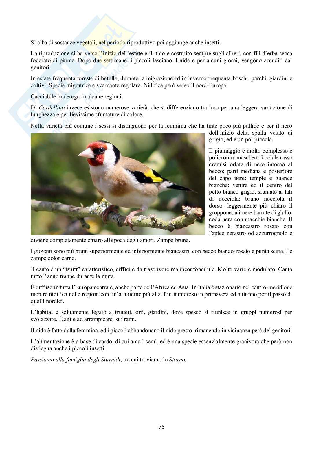 Classificazione degli uccelli e mammiferi Pag. 76