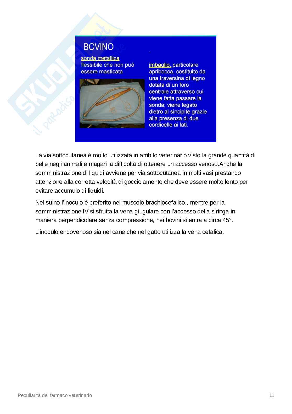 Appunti di Farmacia veterinaria Pag. 11