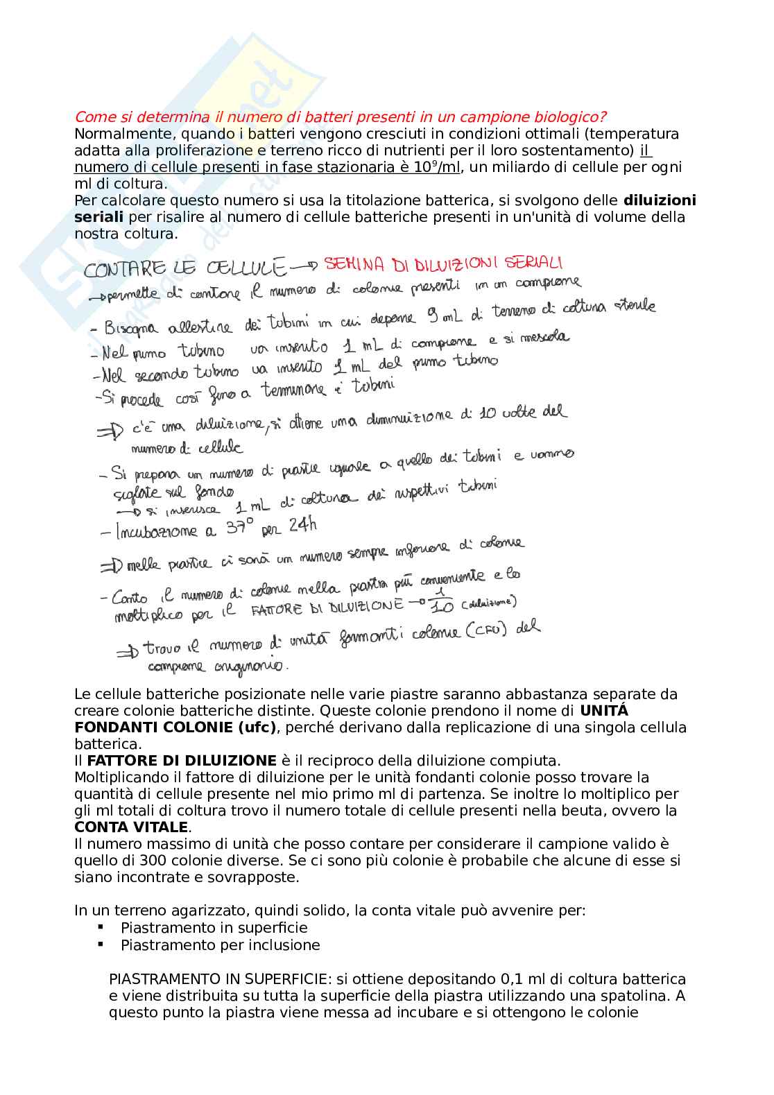 Microbiologia (Parte di batteriologia) Pag. 41