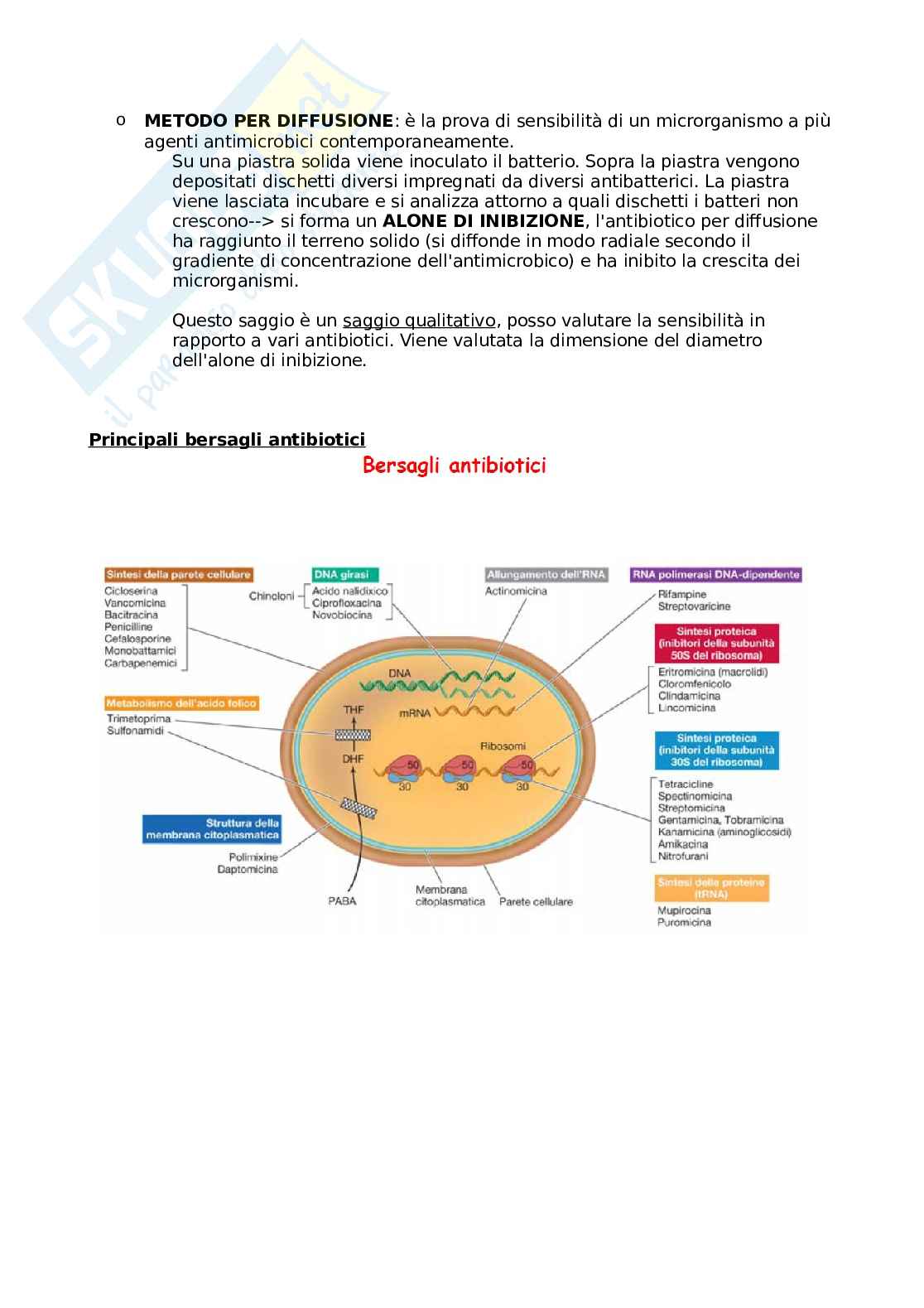 Microbiologia (Parte di batteriologia) Pag. 46