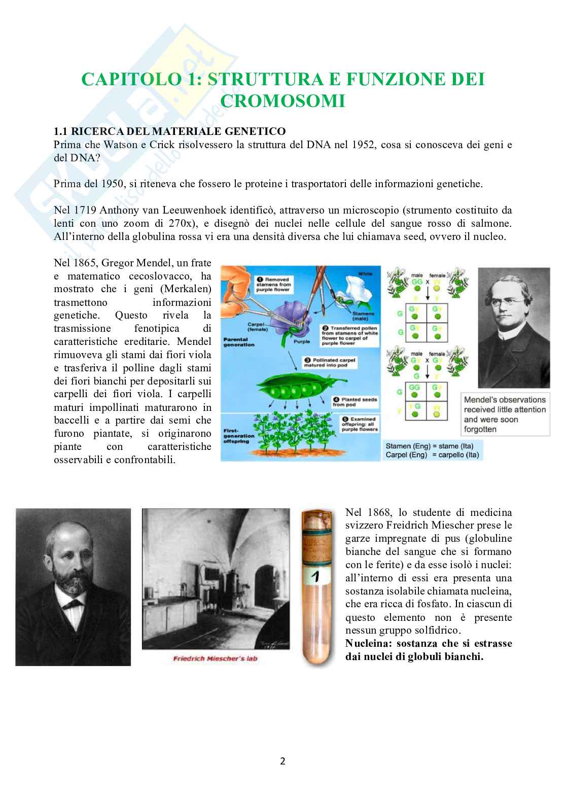 Biologia molecolare Pag. 2