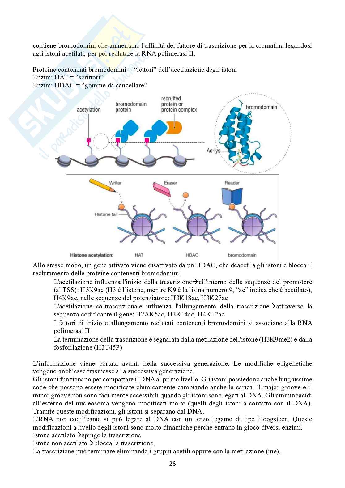Biologia molecolare Pag. 26