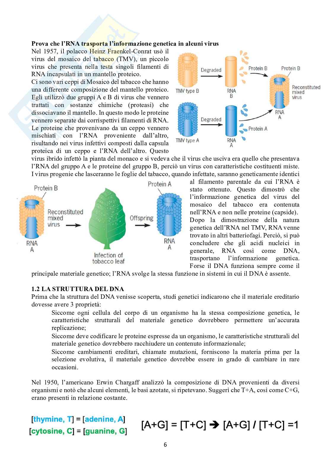 Biologia molecolare Pag. 6