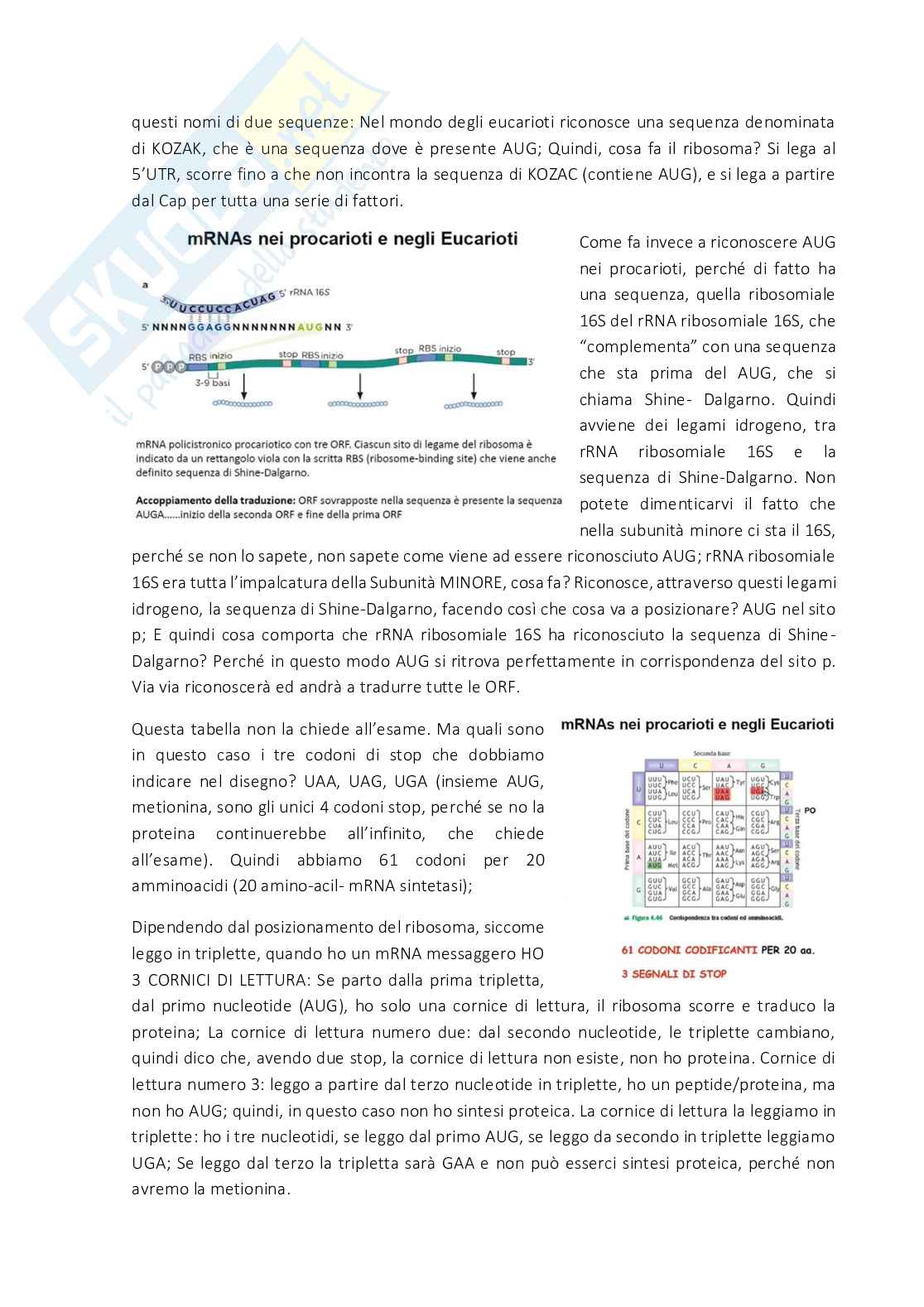 Biologia molecolare Pag. 11