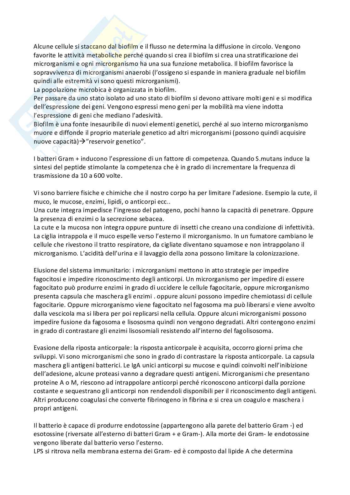 Microbiologia Pag. 36