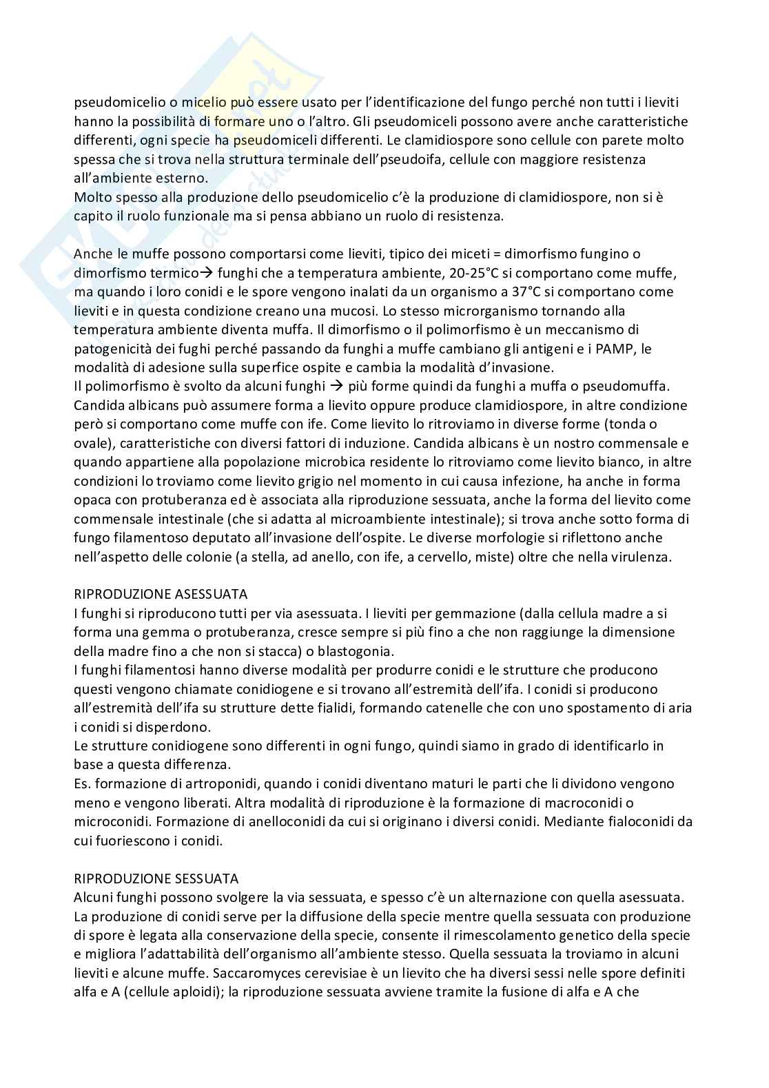 Microbiologia Pag. 41