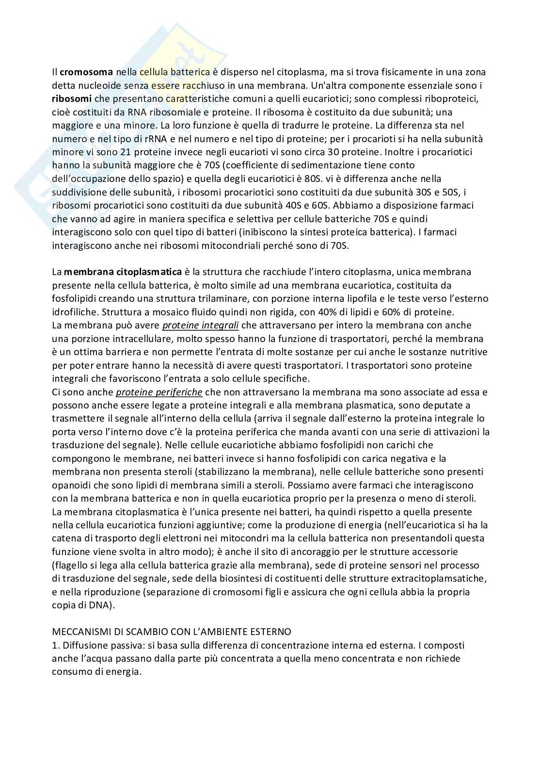 Microbiologia Pag. 6
