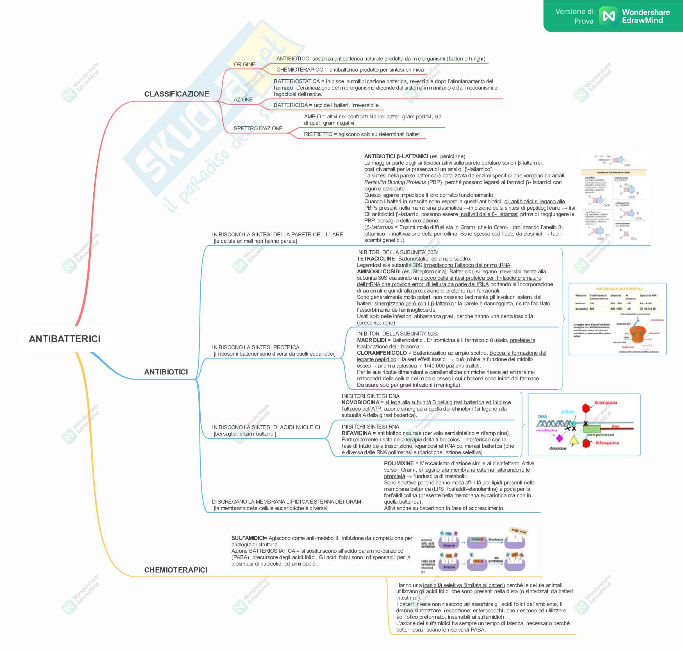 Corso Microbiologia - Mappe Pag. 1