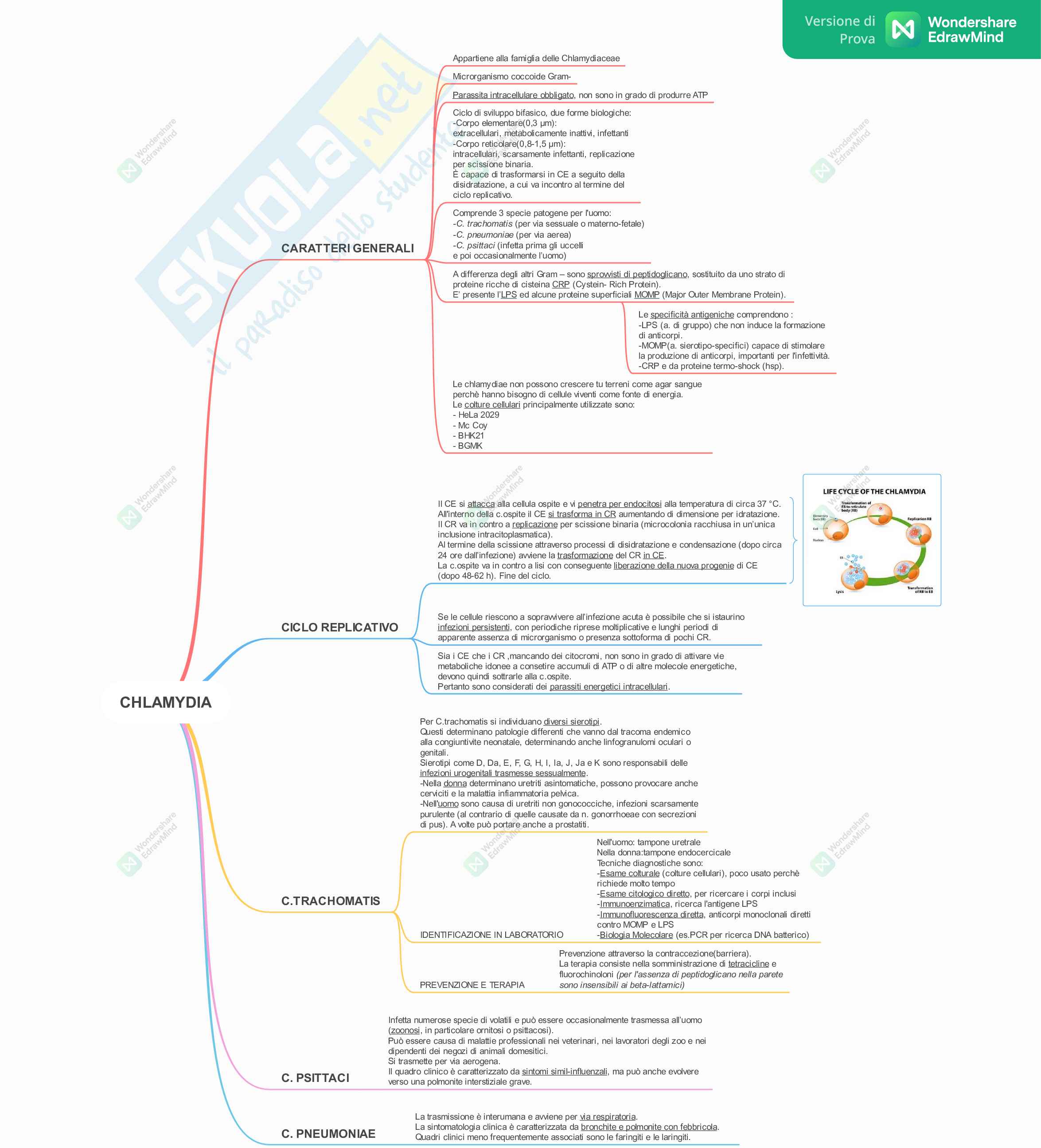 Corso Microbiologia - Mappe Pag. 16