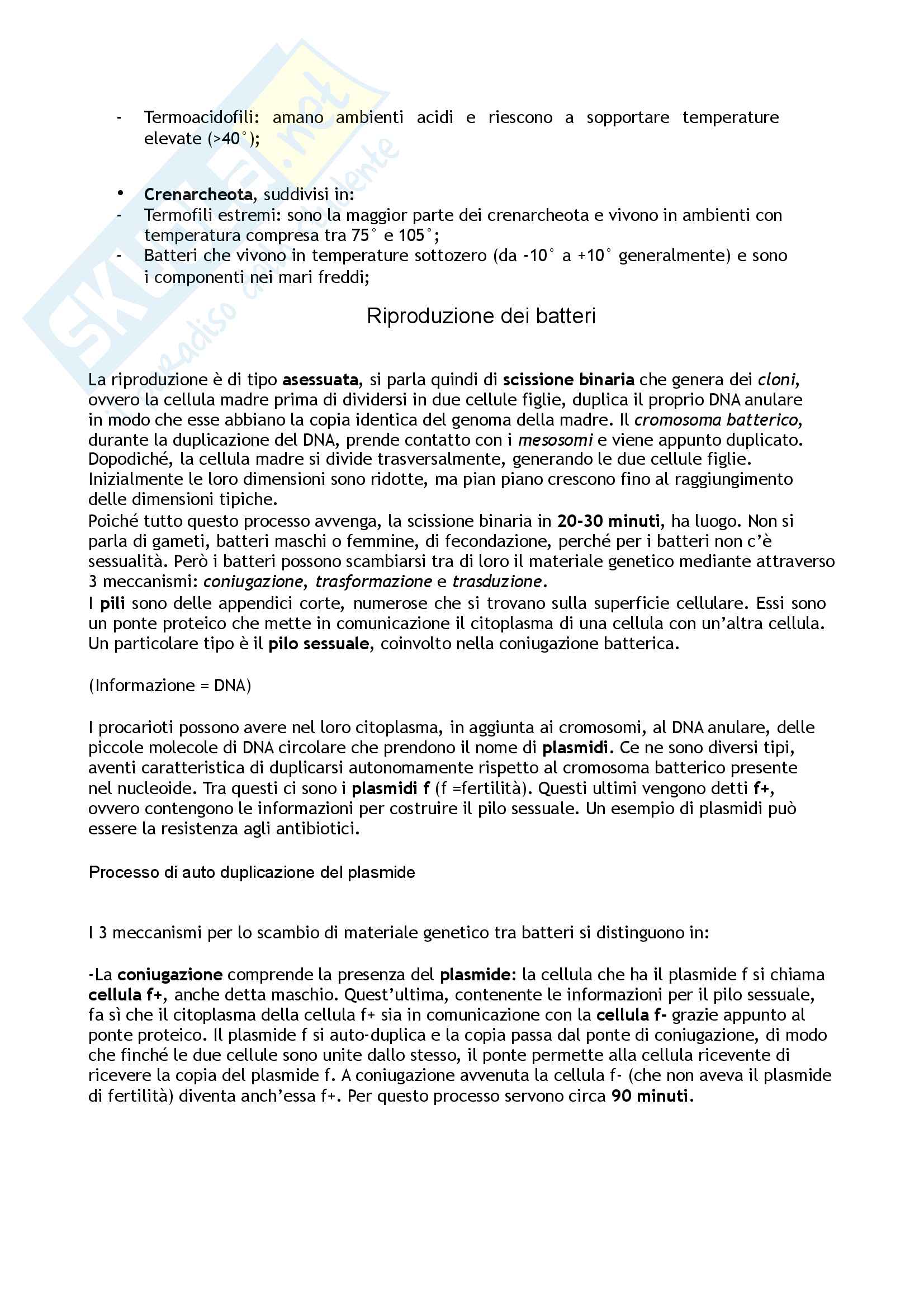 Biologia  animale e vegetale Pag. 11