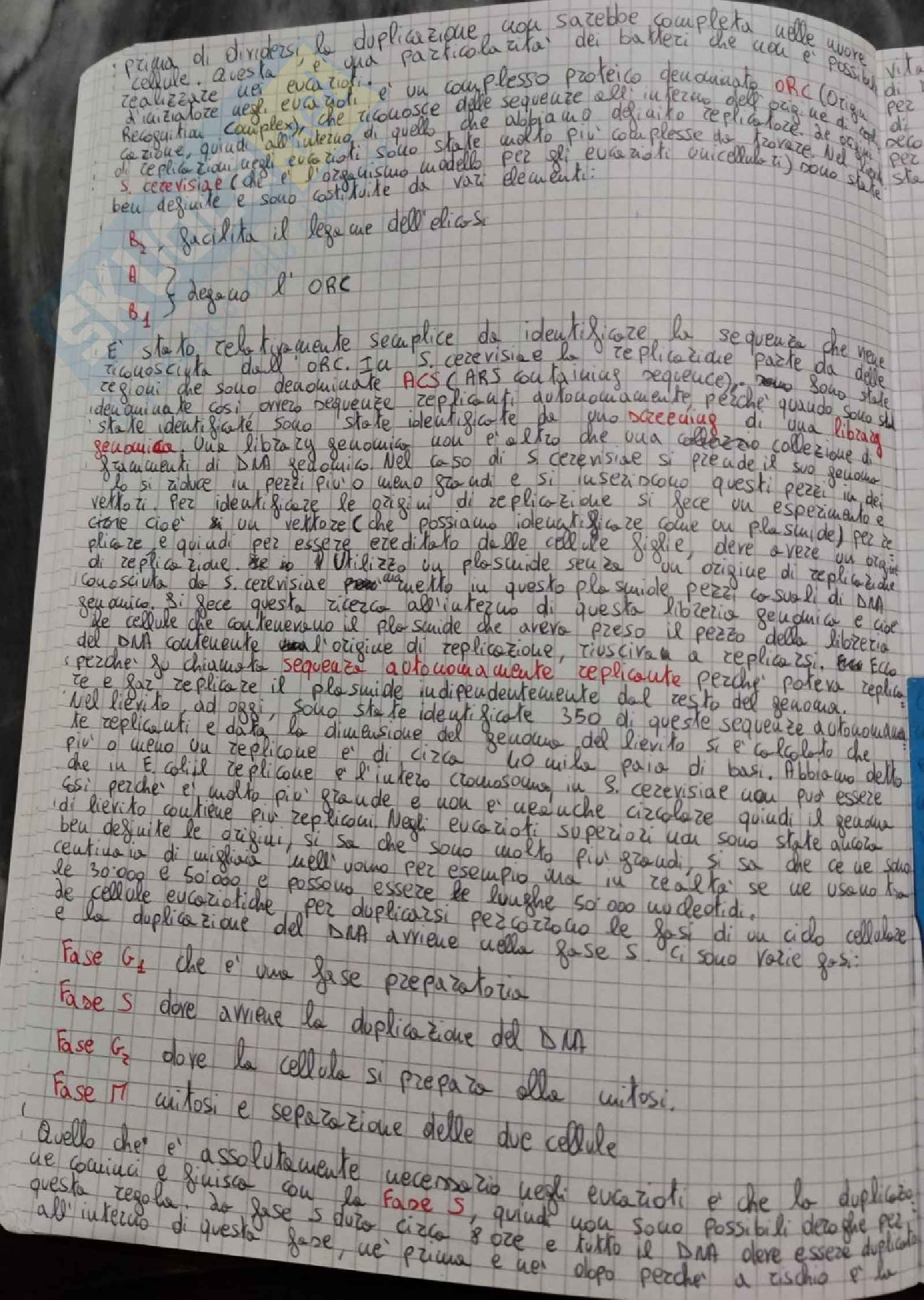 Biologia molecolare Pag. 26