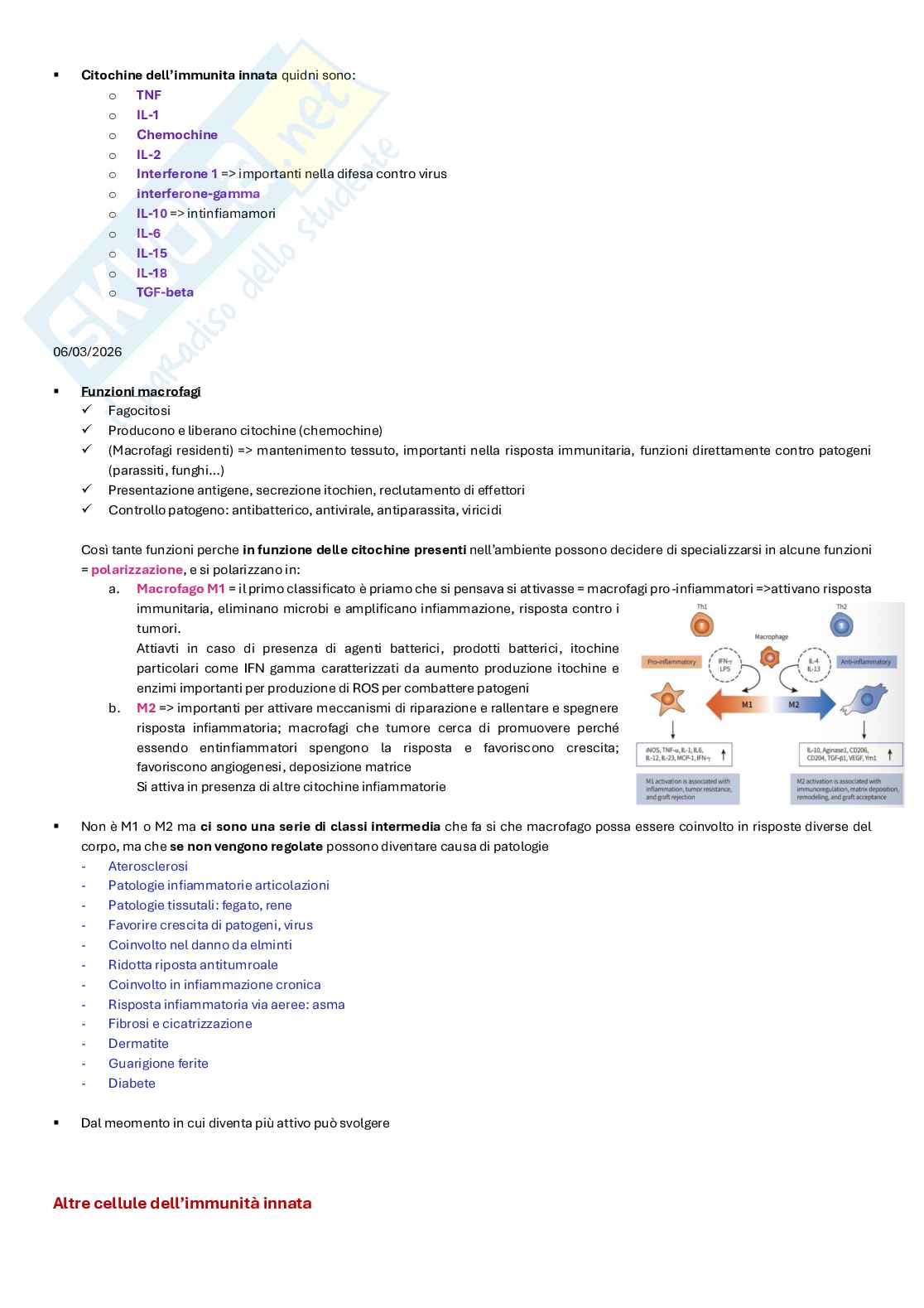 Appunti completi di Immunologia per esame  Pag. 16