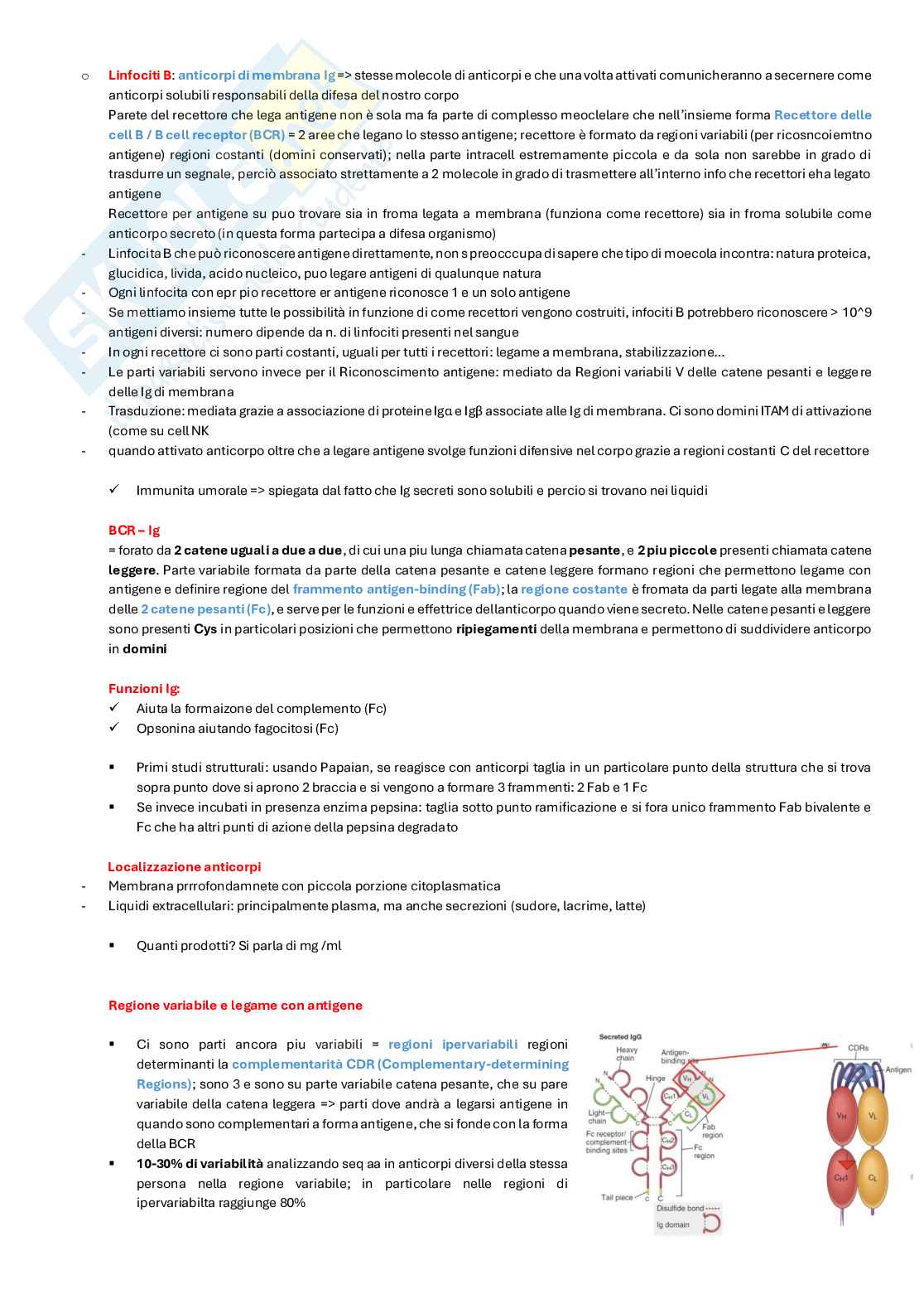 Appunti completi di Immunologia per esame  Pag. 26