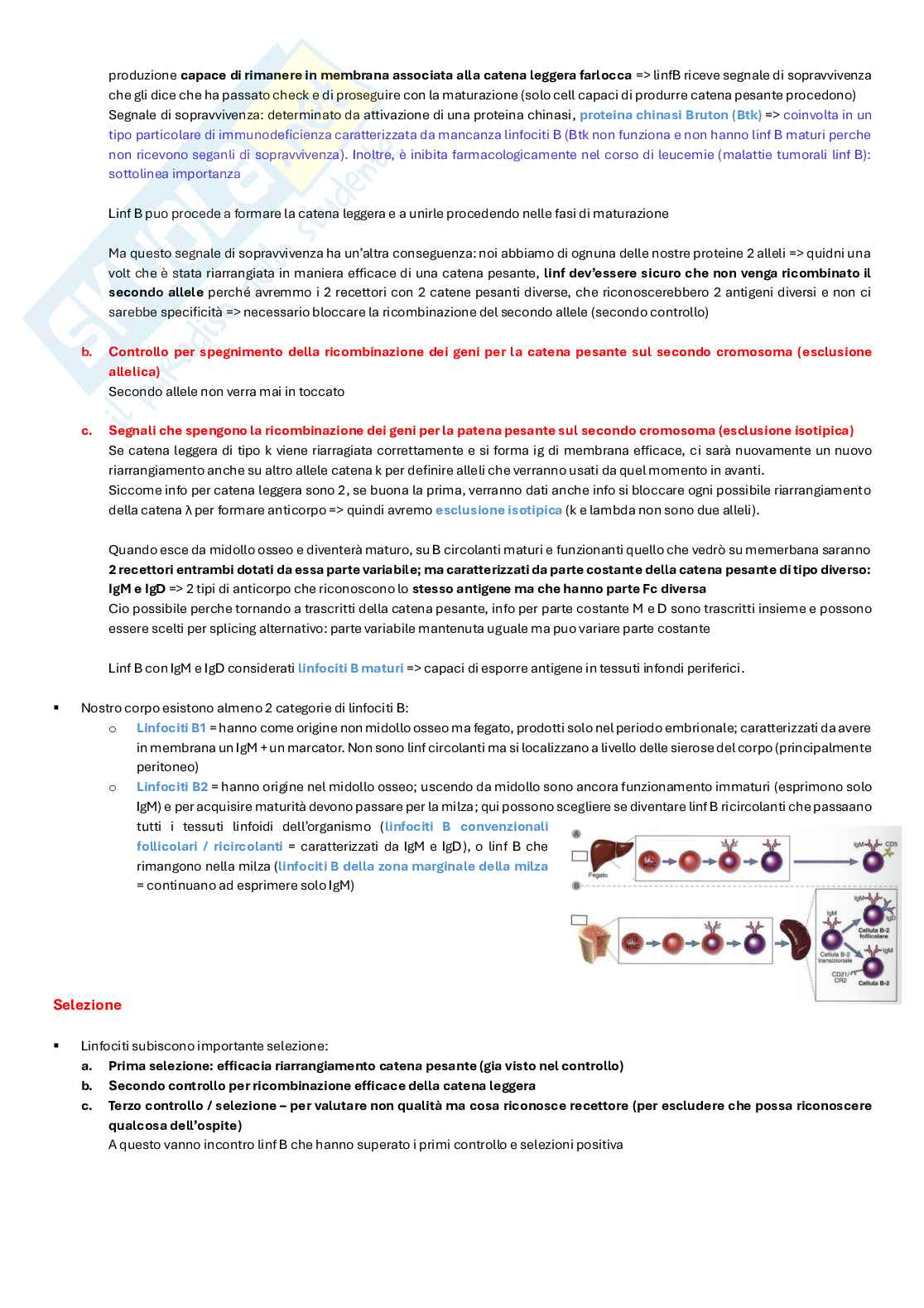 Appunti completi di Immunologia per esame  Pag. 31