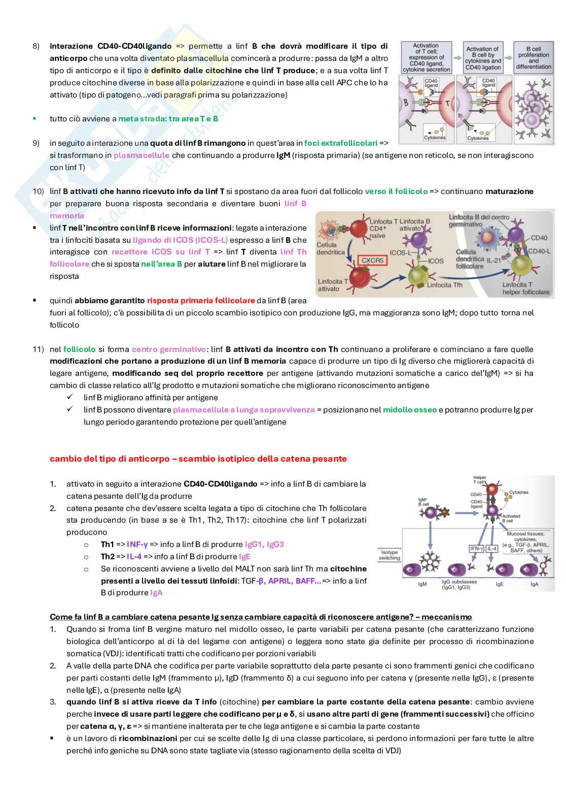 Appunti completi di Immunologia per esame  Pag. 41
