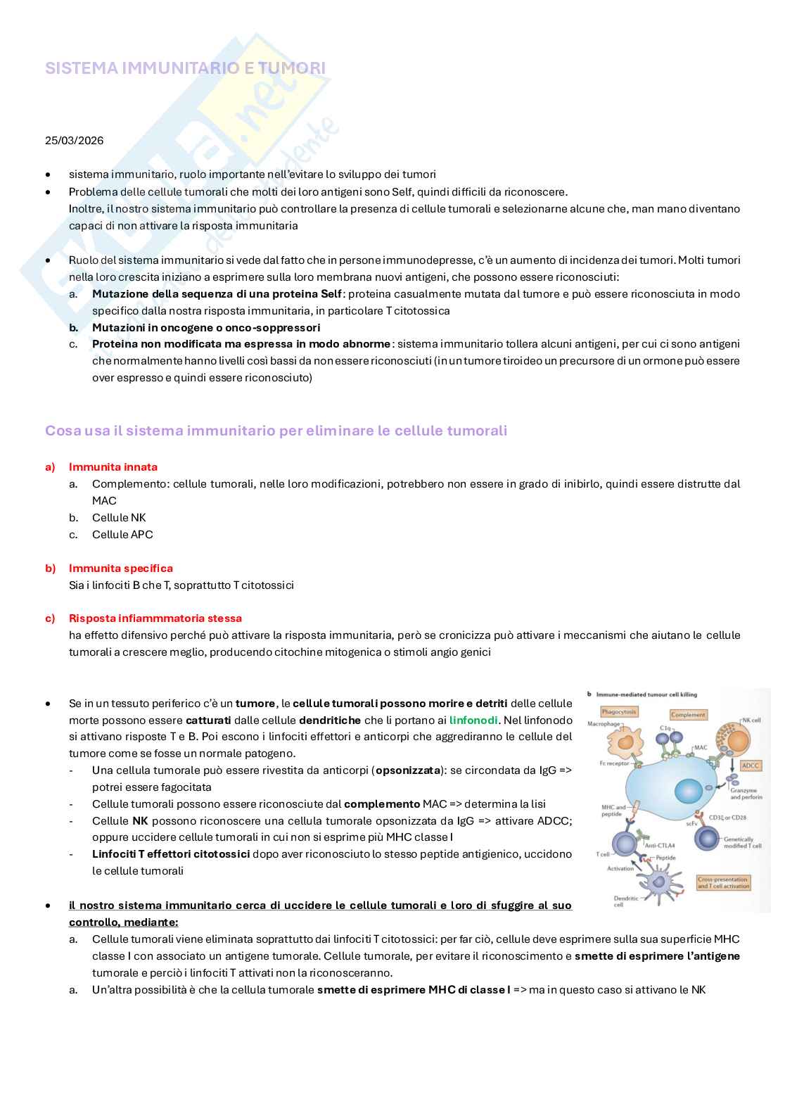 Appunti completi di Immunologia per esame  Pag. 51