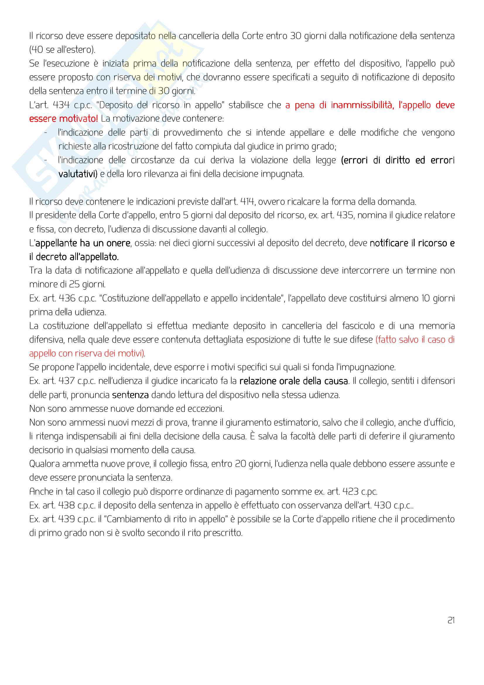 Elementi di diritto processuale del lavoro Pag. 21