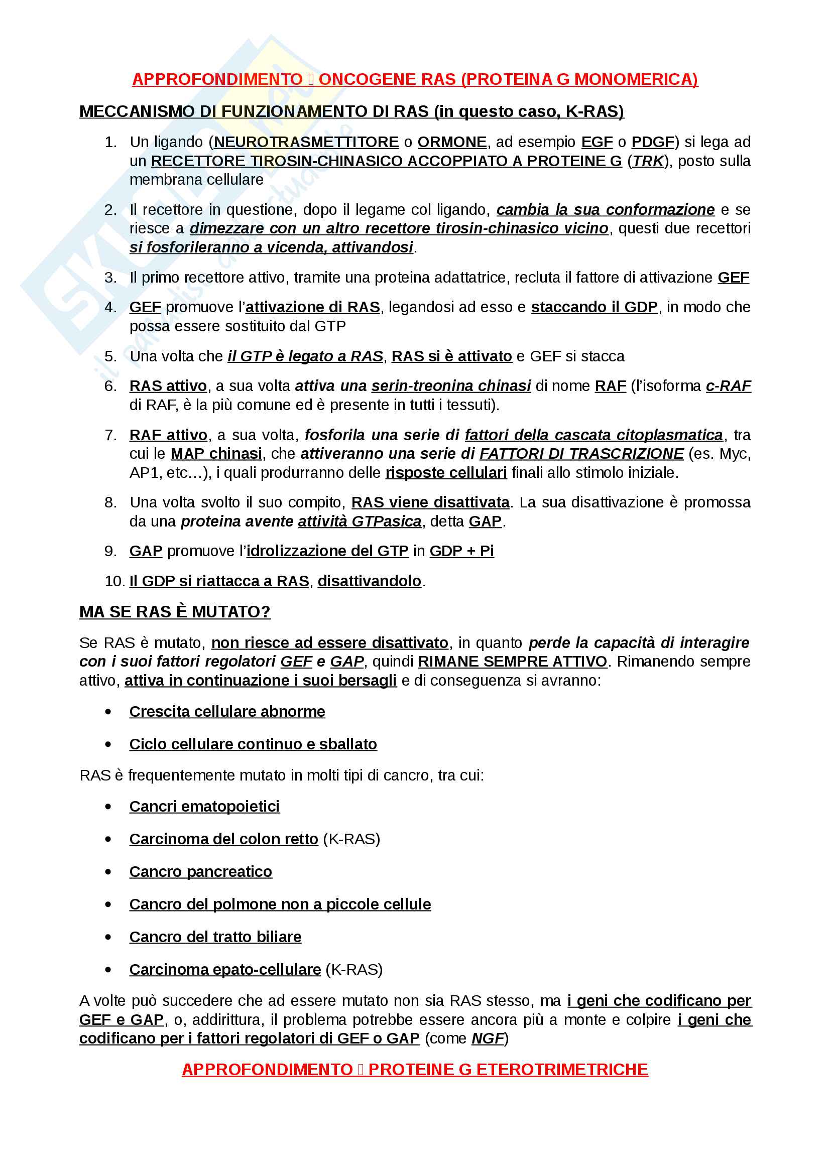 Patologia molecolare Mackay Pag. 6
