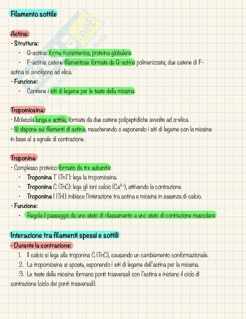 Appunti Biochimica I - Scienze Motorie Pag. 116