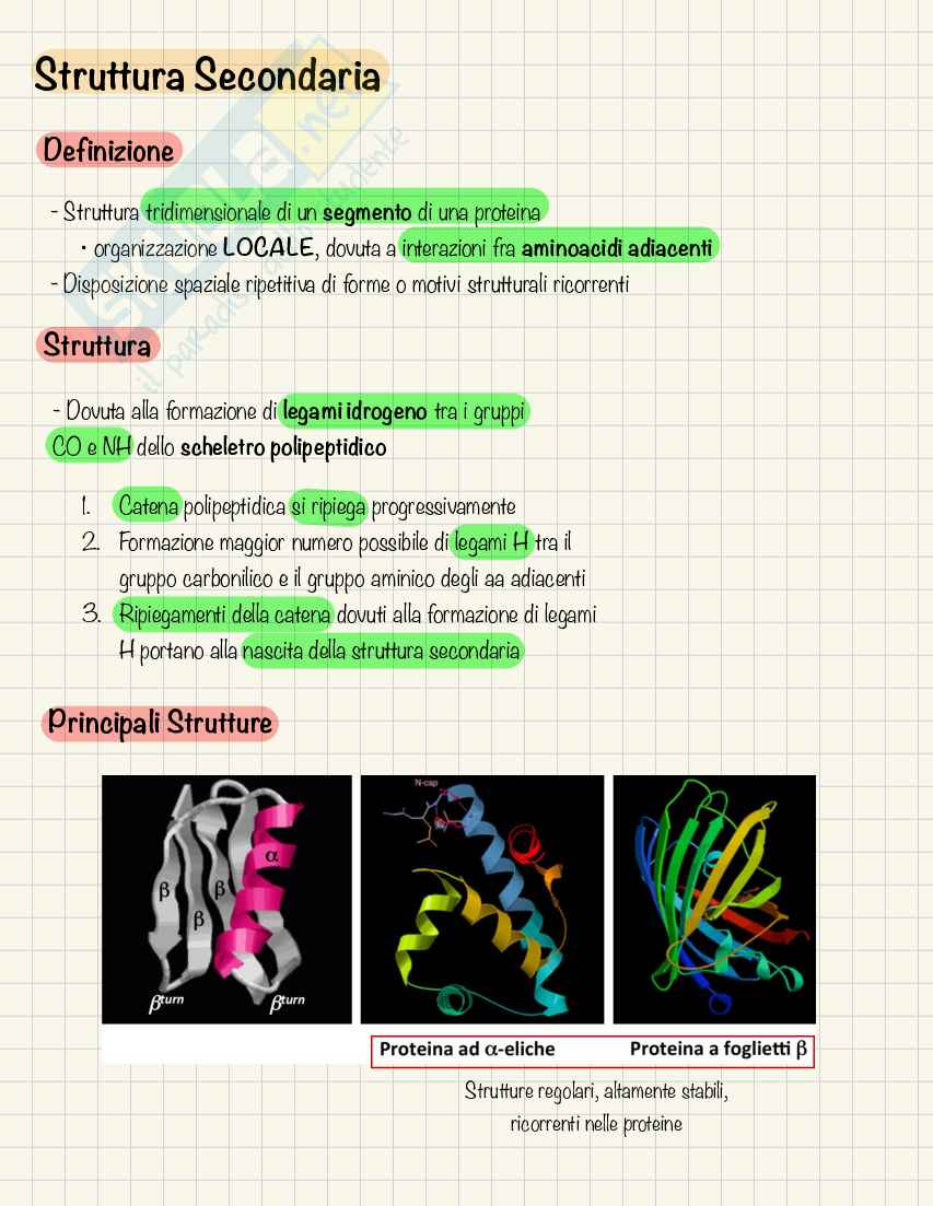 Appunti Biochimica I - Scienze Motorie Pag. 41