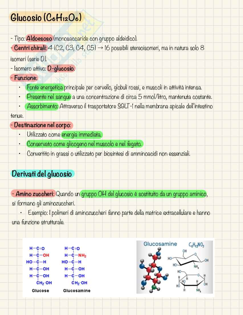 Appunti Biochimica I - Scienze Motorie Pag. 76