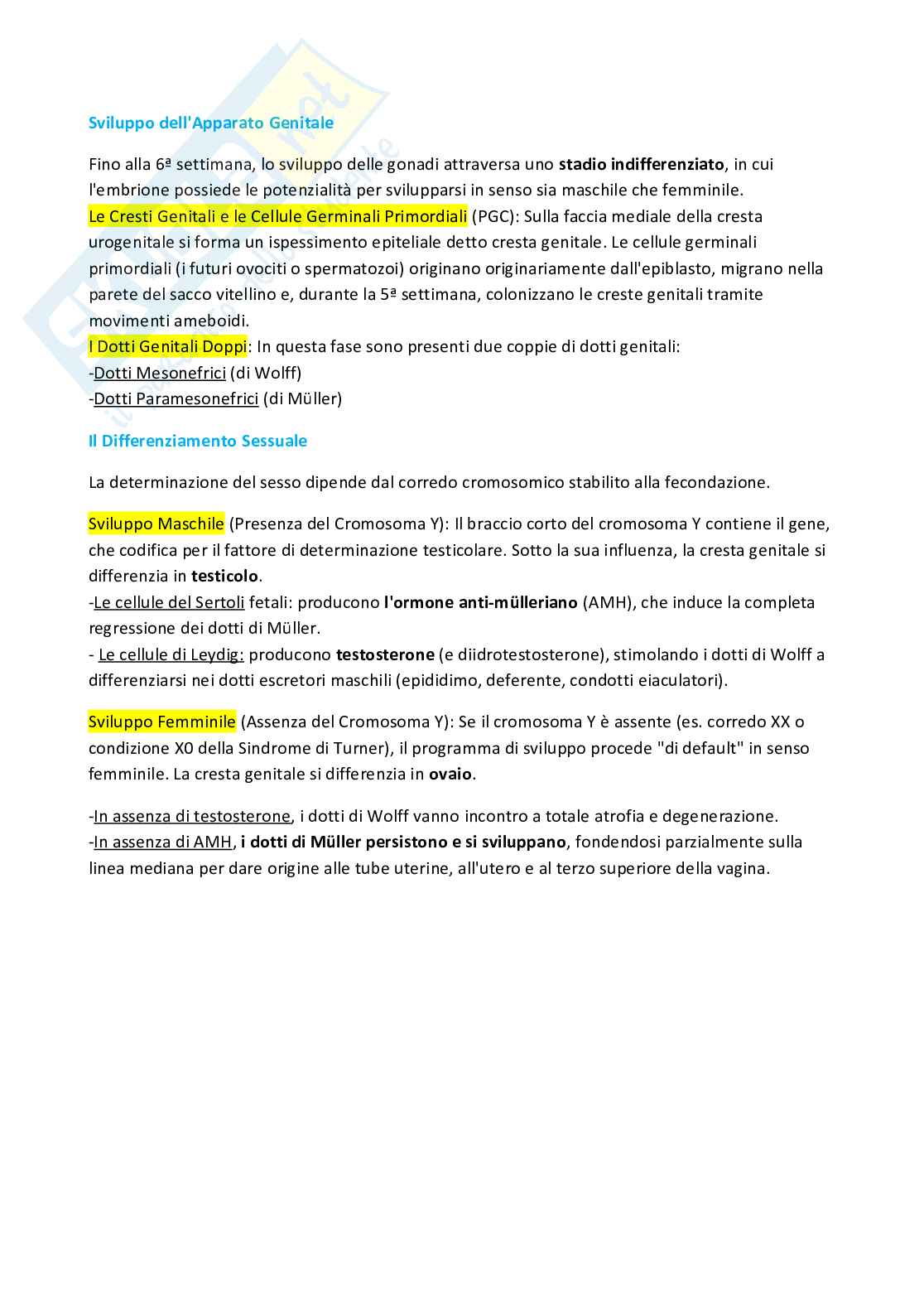 Embriologia Pag. 11