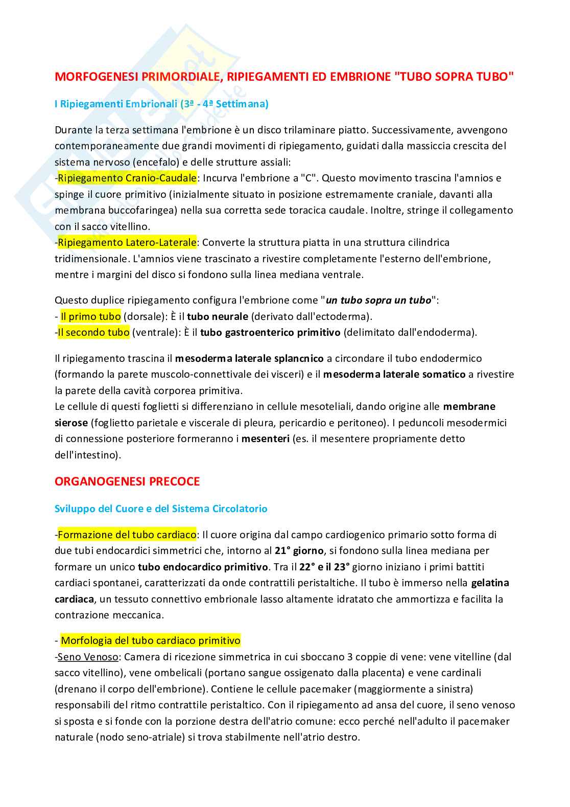 Embriologia Pag. 6