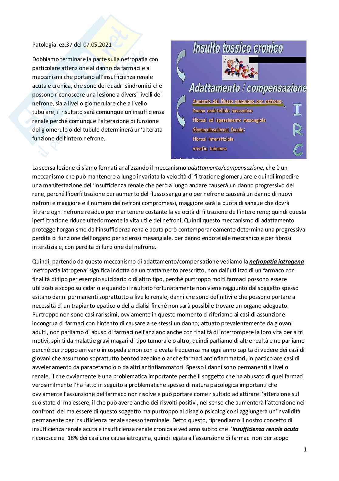 Patologia generale e fondamenti di fisiopatologia - parte 8 Pag. 1