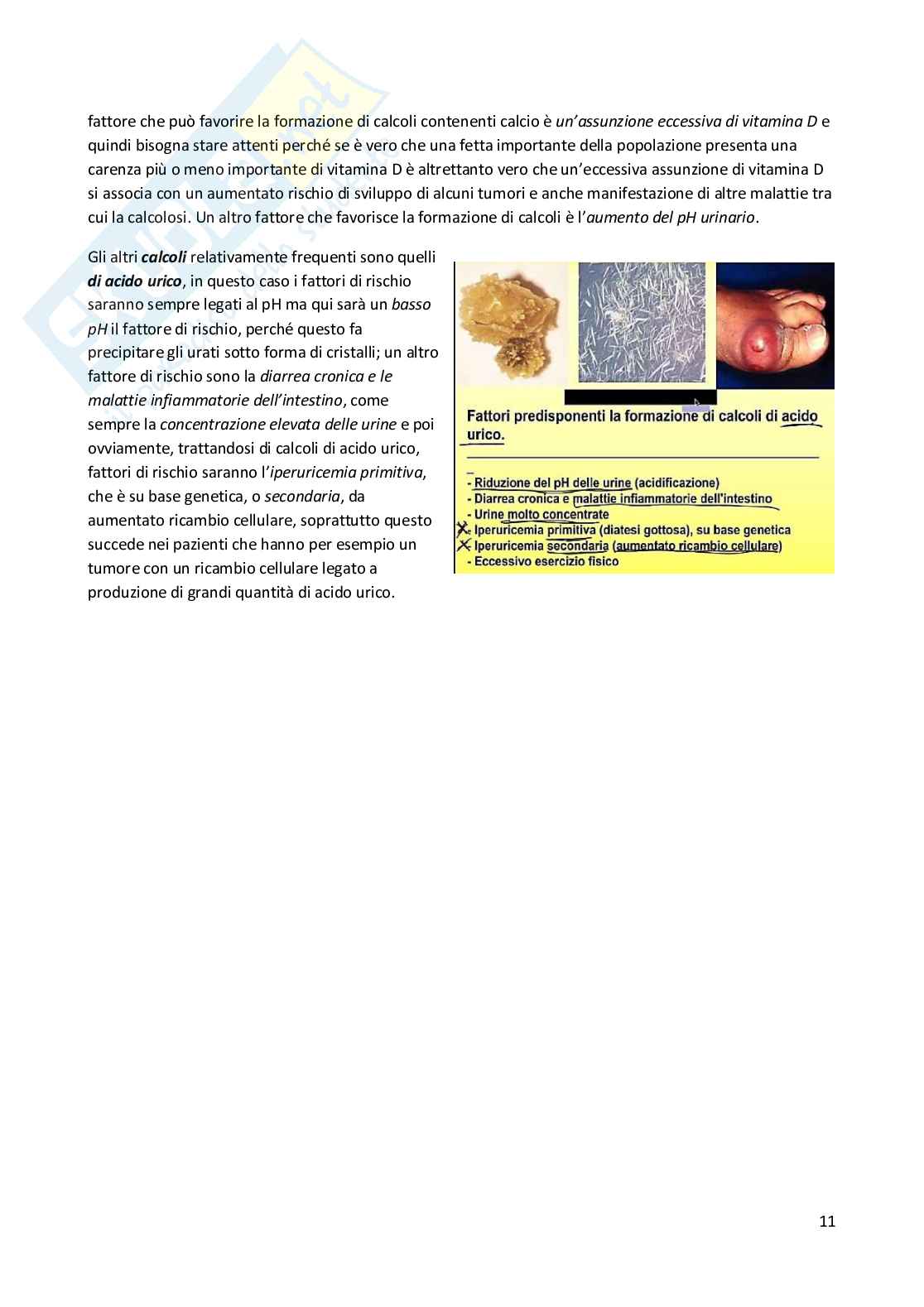 Patologia generale e fondamenti di fisiopatologia - parte 8 Pag. 11