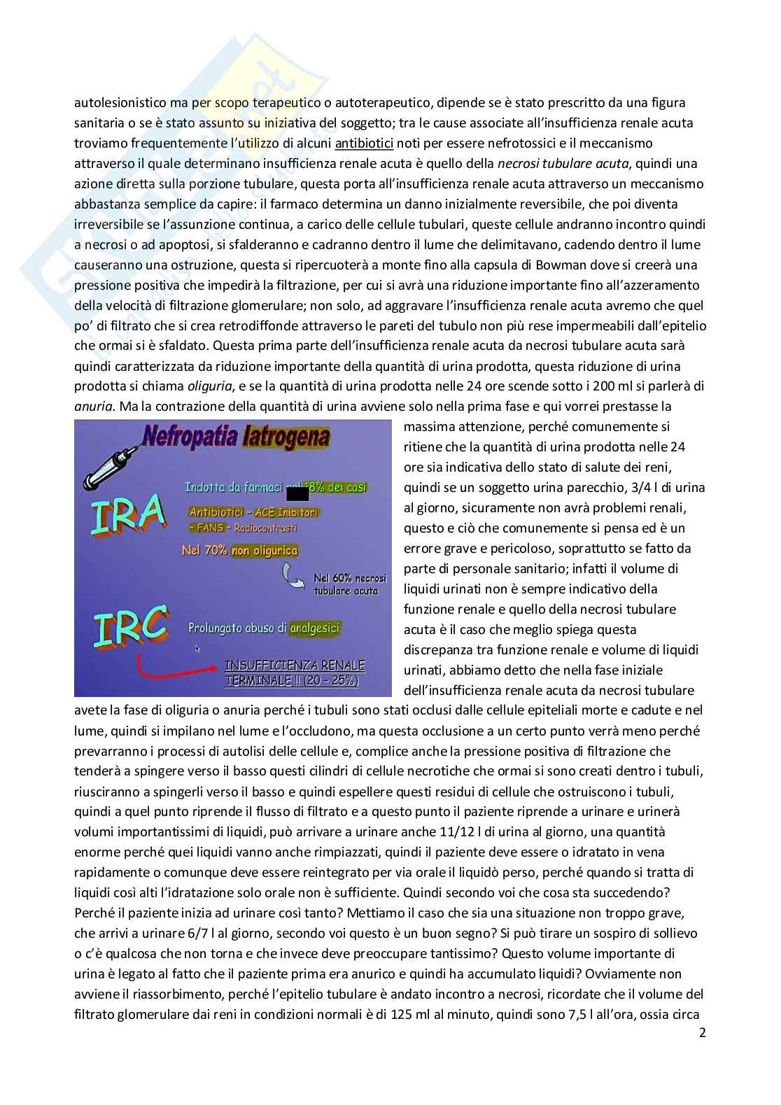 Patologia generale e fondamenti di fisiopatologia - parte 8 Pag. 2