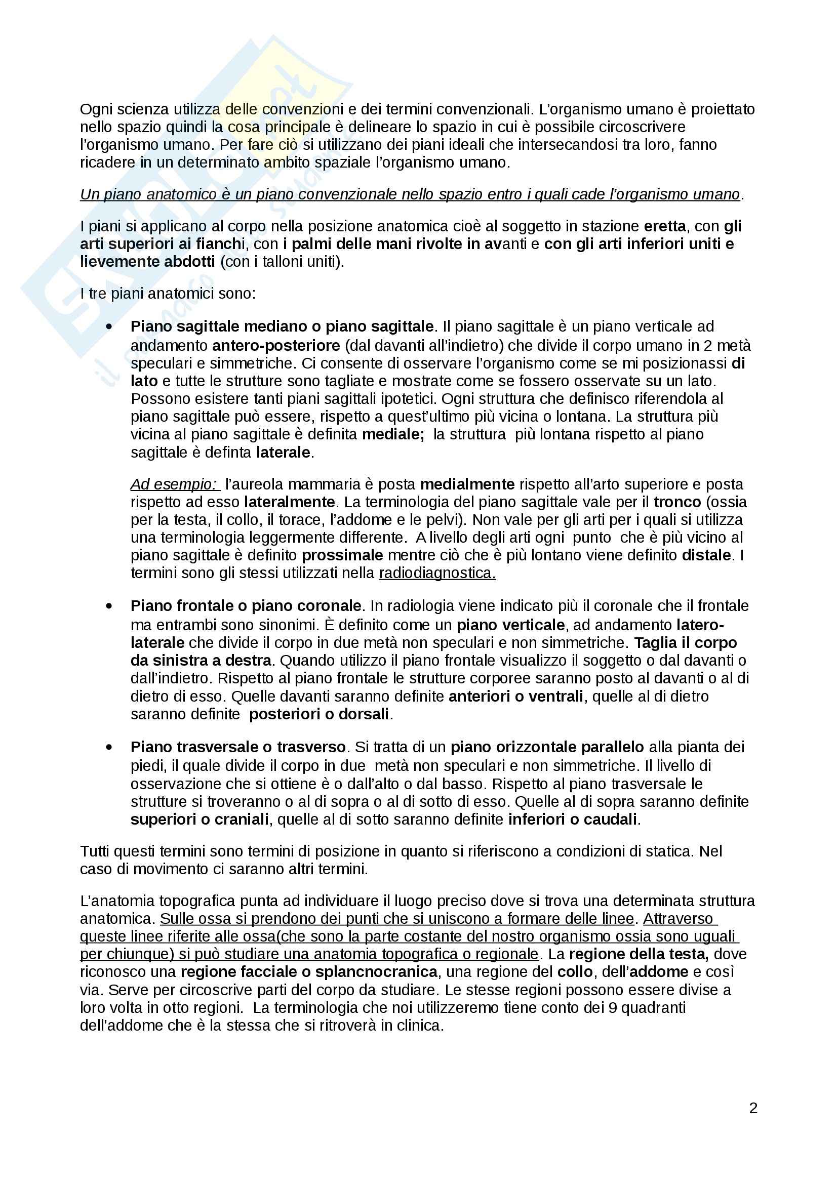 Lezioni: Appunti di Anatomia umana Pag. 2
